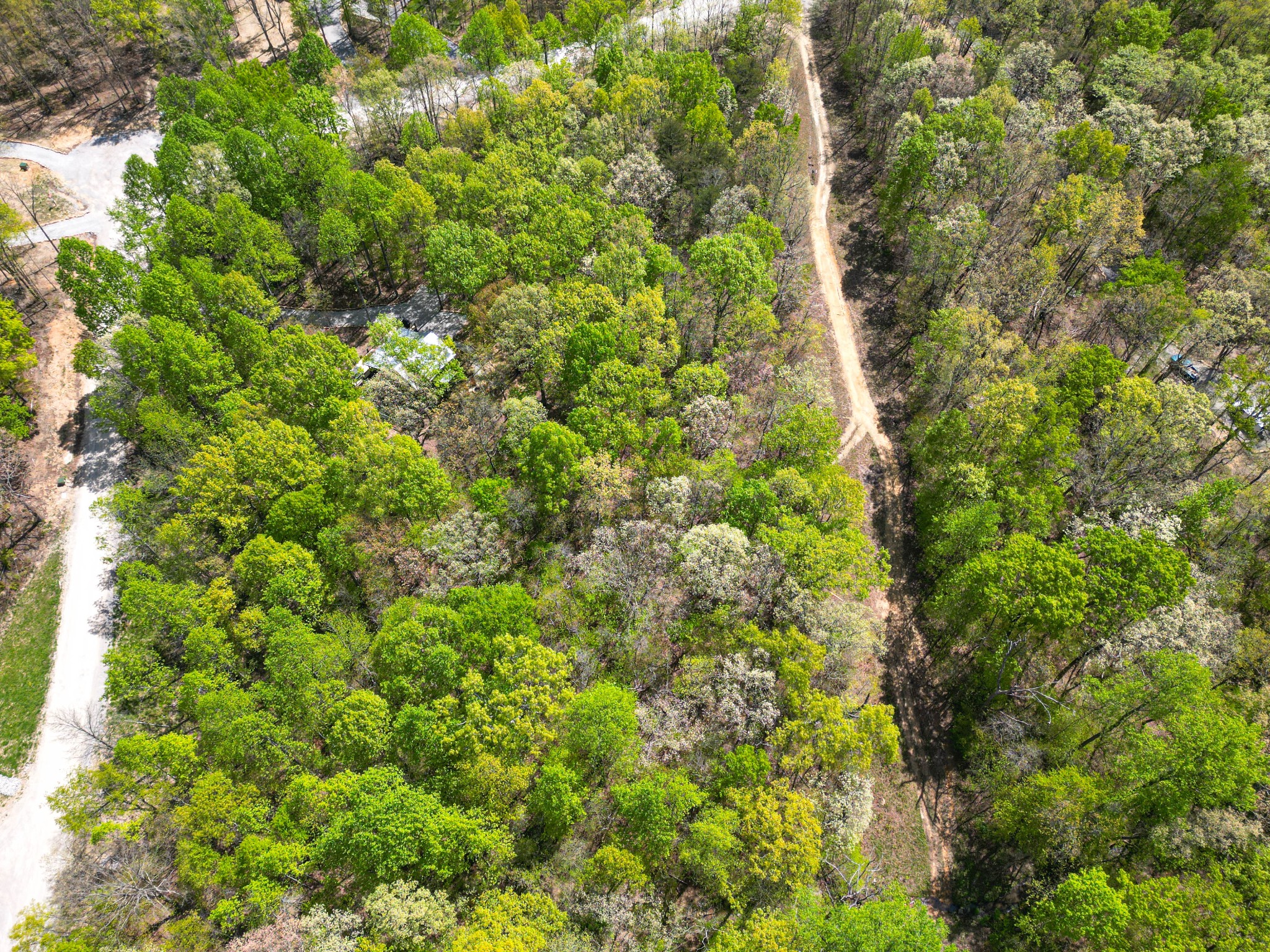 213 Sunset Bluff Way