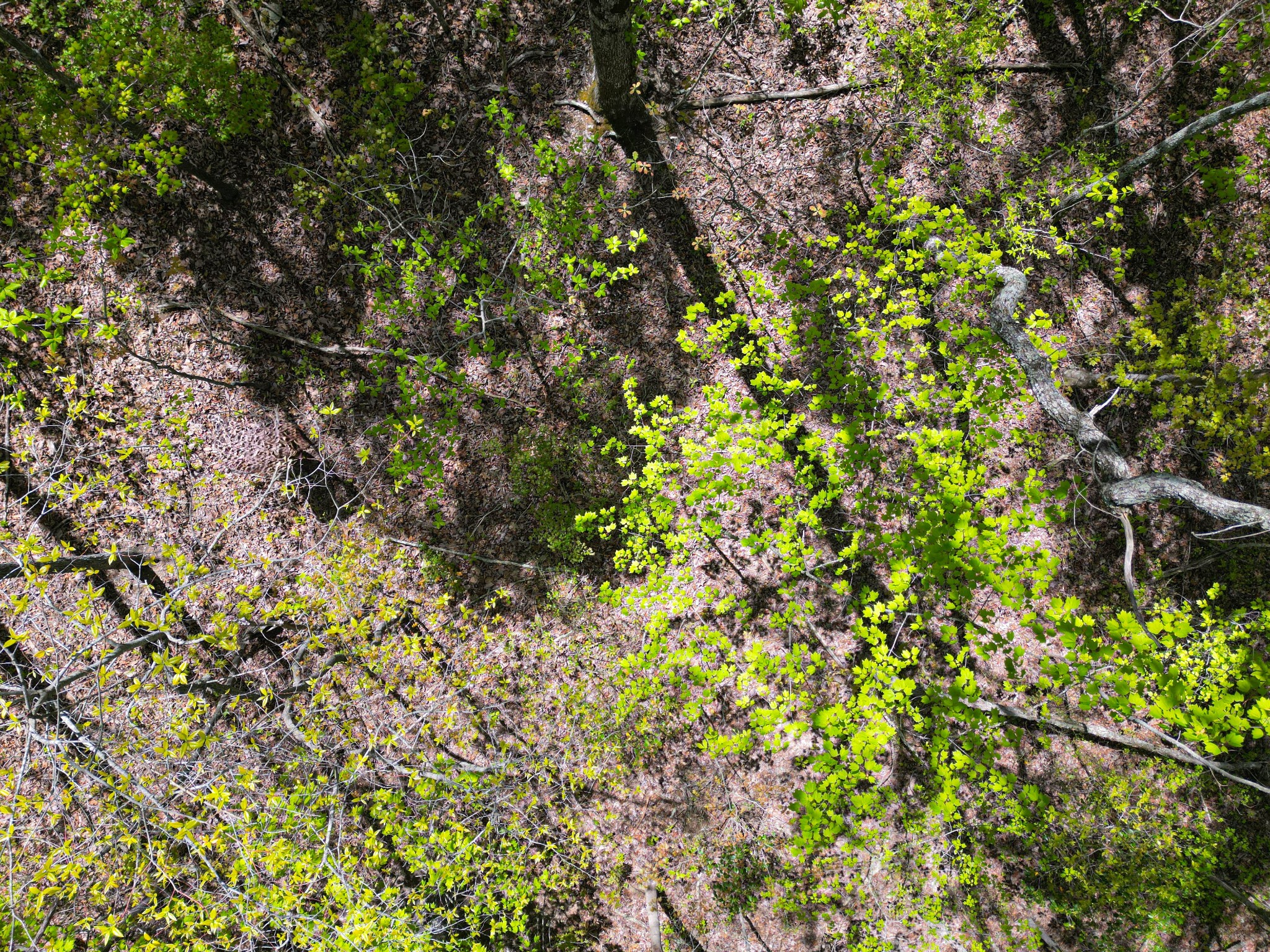 213 Sunset Bluff Way