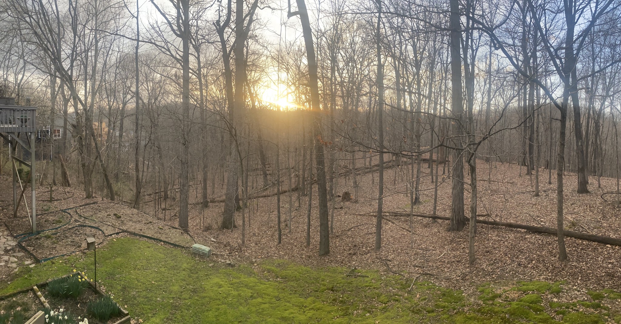 912 Harpeth Trace Dr