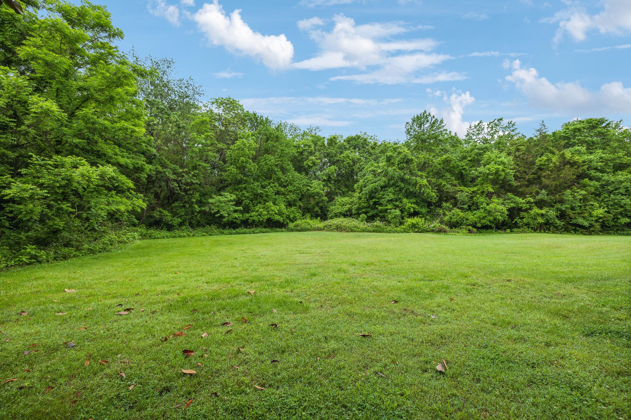 529 Montridge Ct