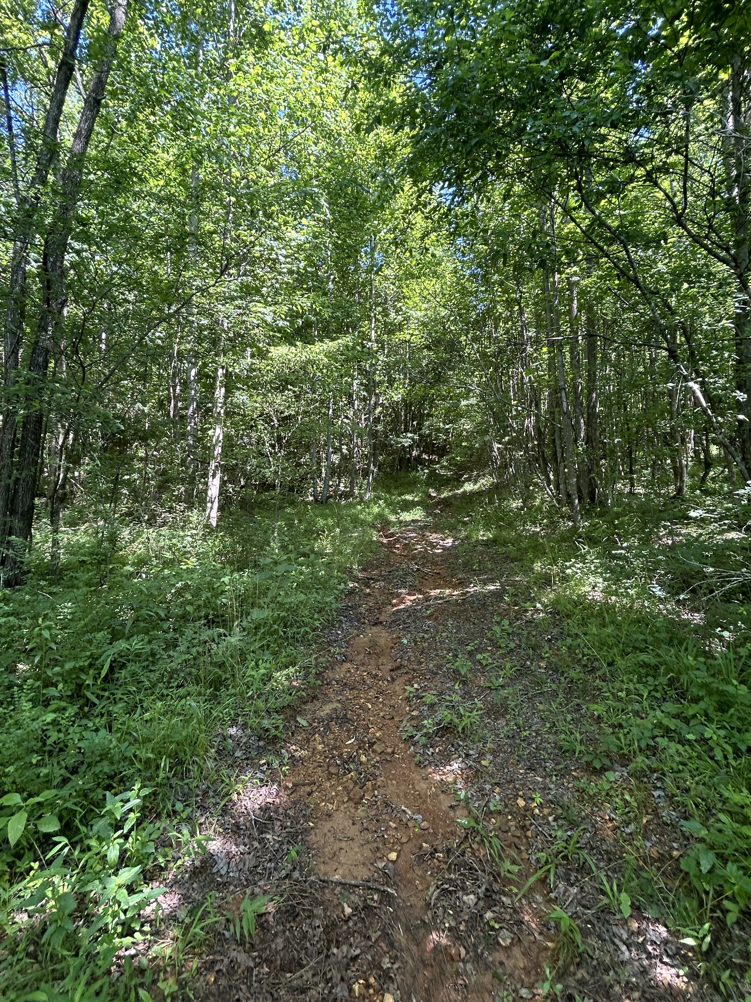3 Greenhill Rd