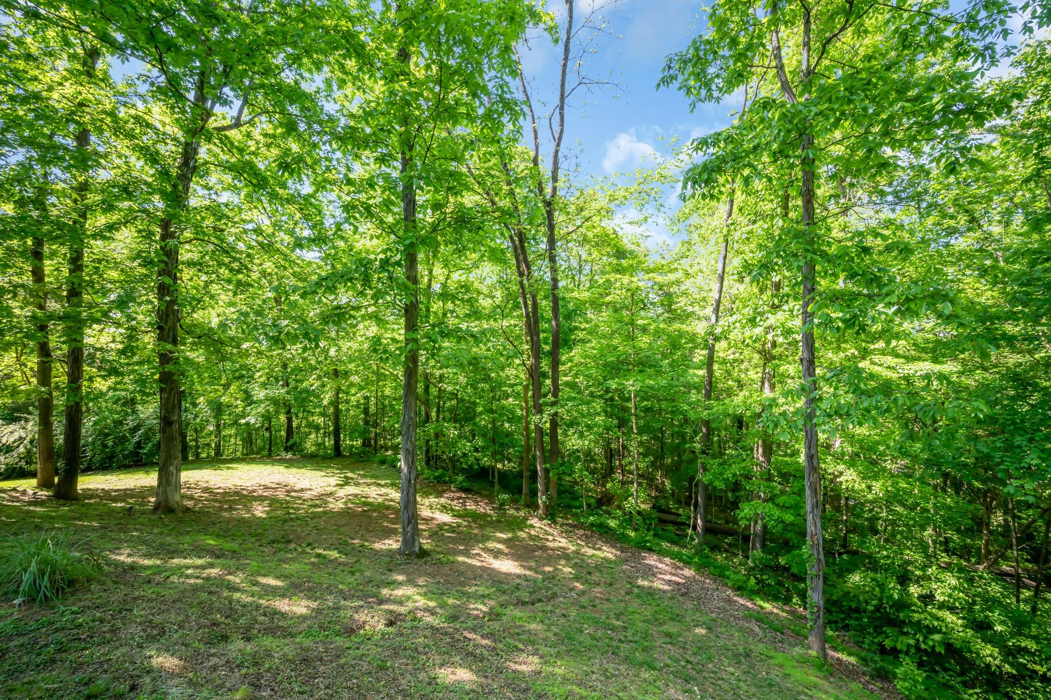 5546 Riverview Dr