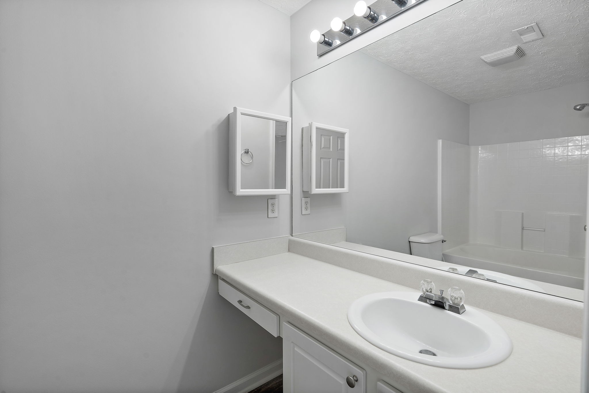 3253 Harpeth Springs Dr