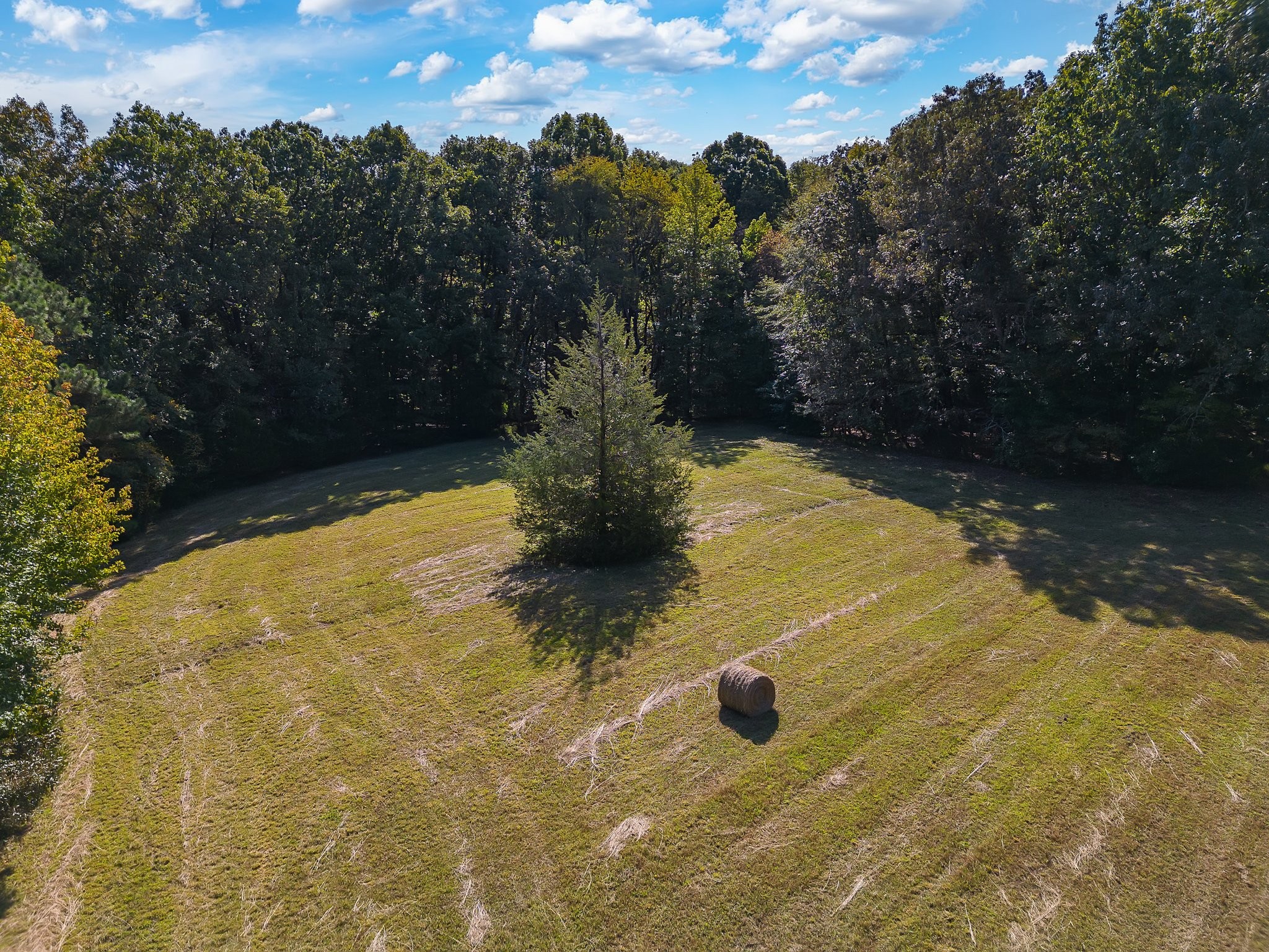 825 Barham Ln