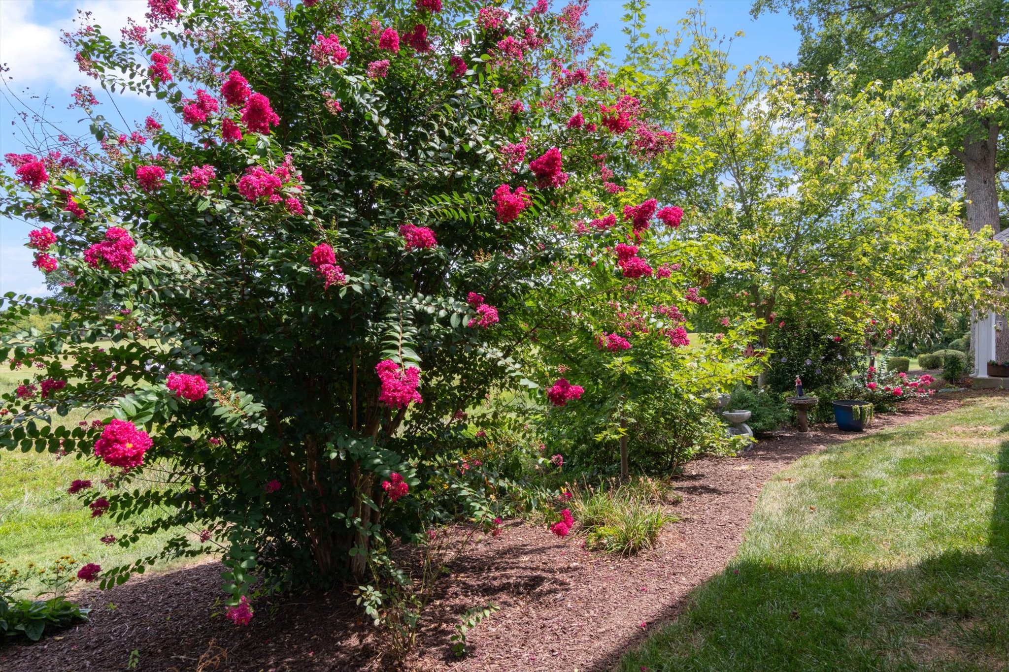445 Golfview Ct