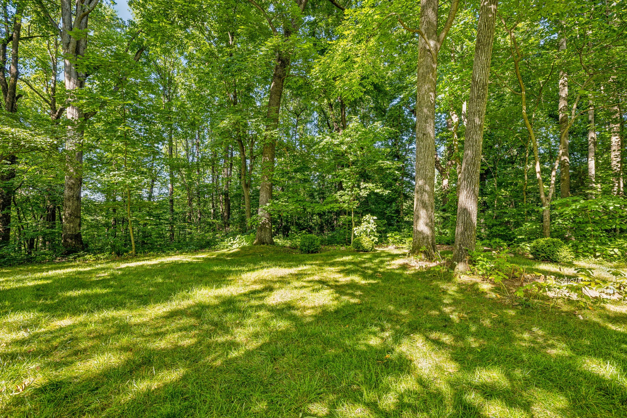 3927 New Highway 96, W