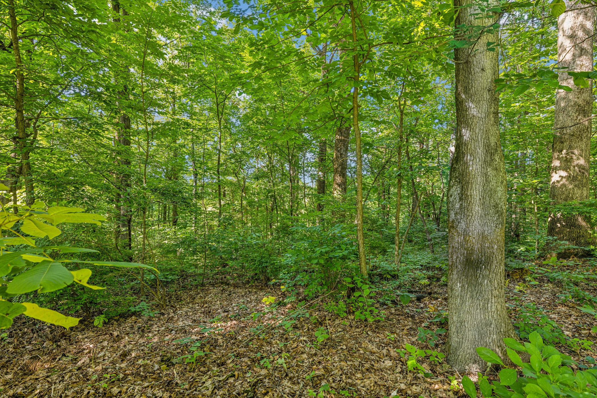 3927 New Highway 96, W