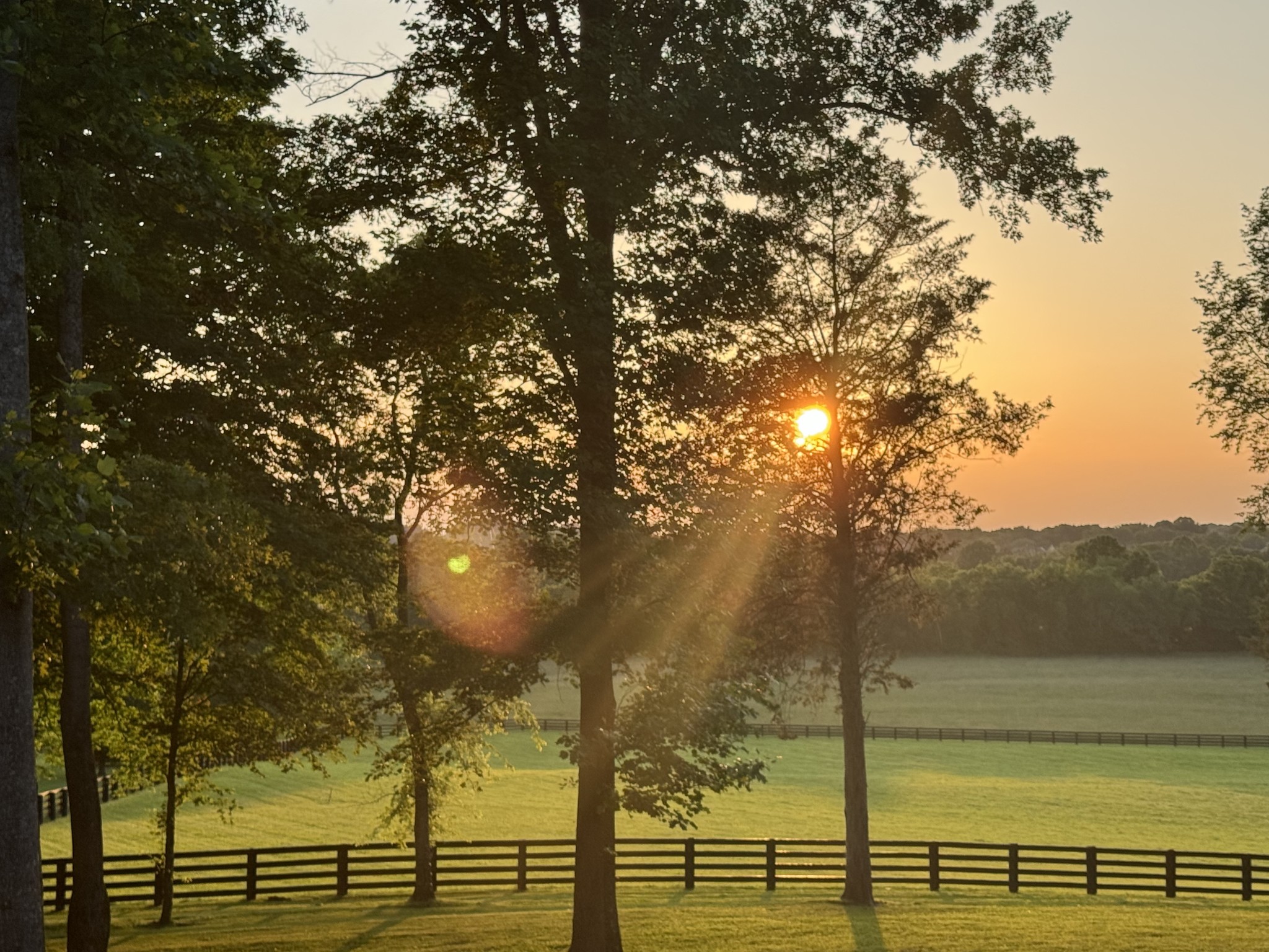 4613 Majestic Meadows Dr