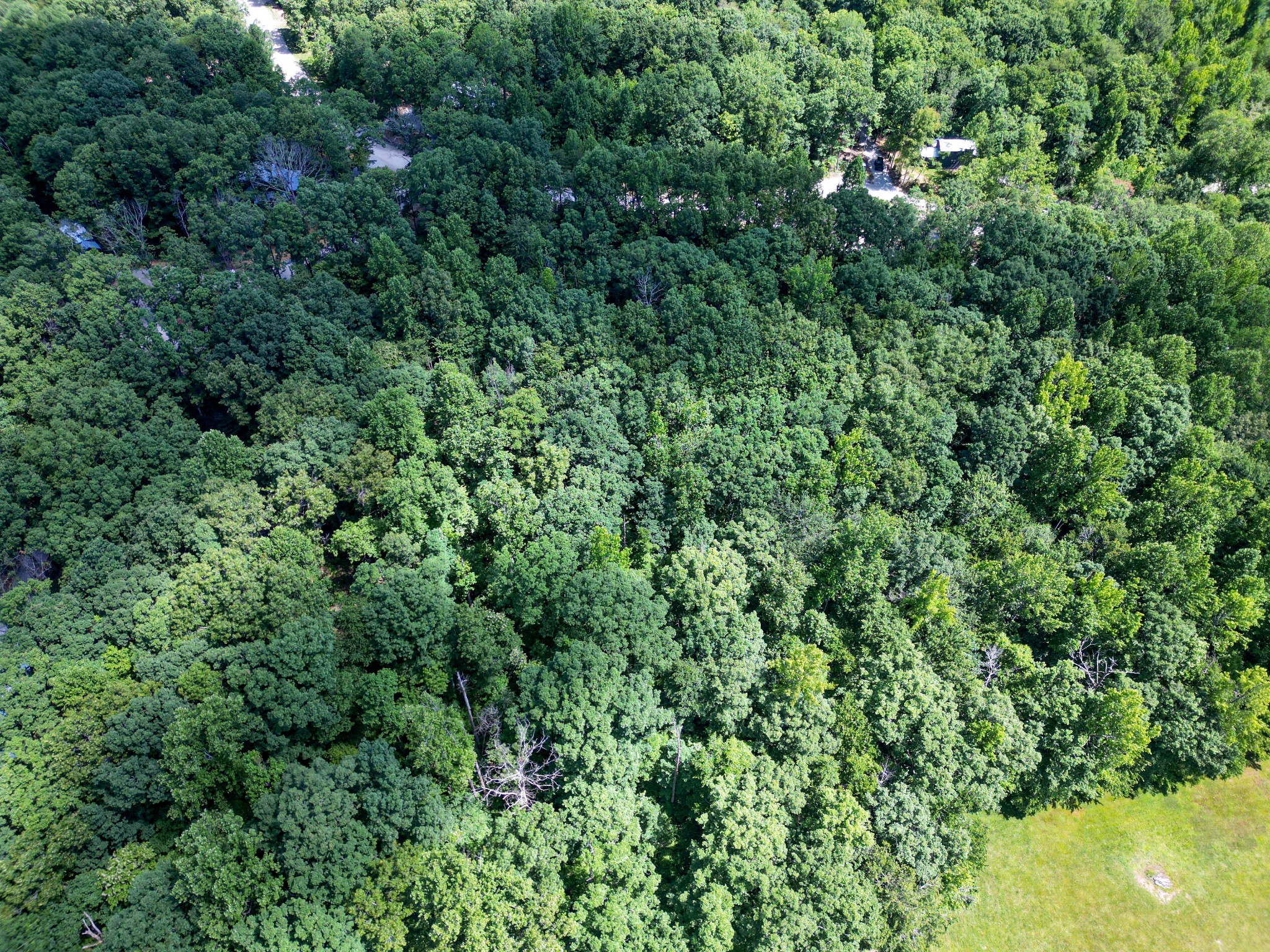 165 Sunset Bluff Way