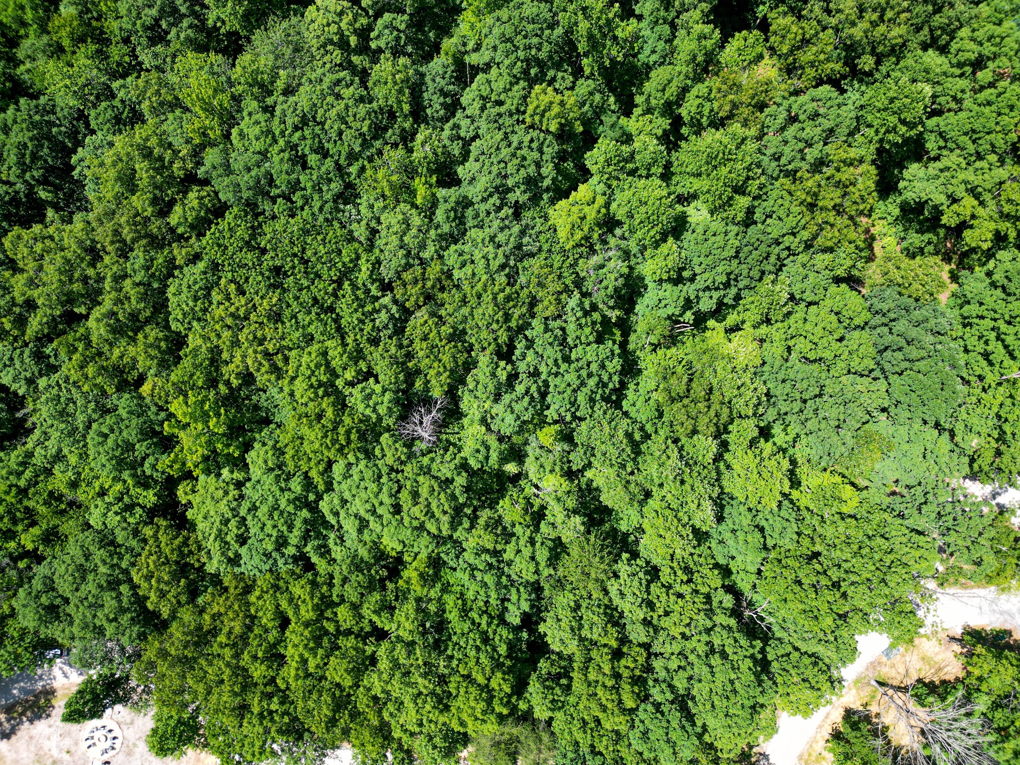 165 Sunset Bluff Way