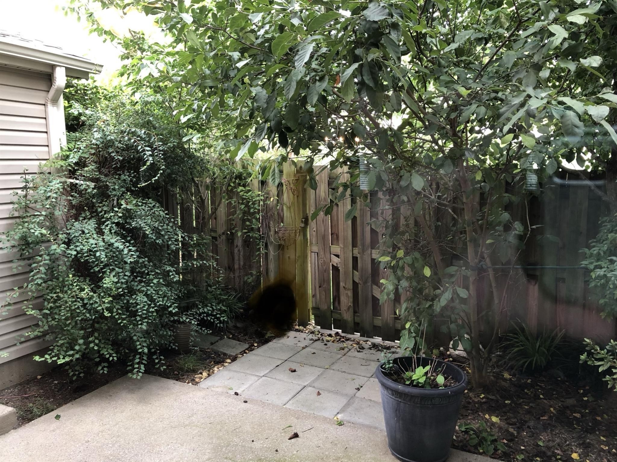 735 Tulip Grove Rd Unit: 214
