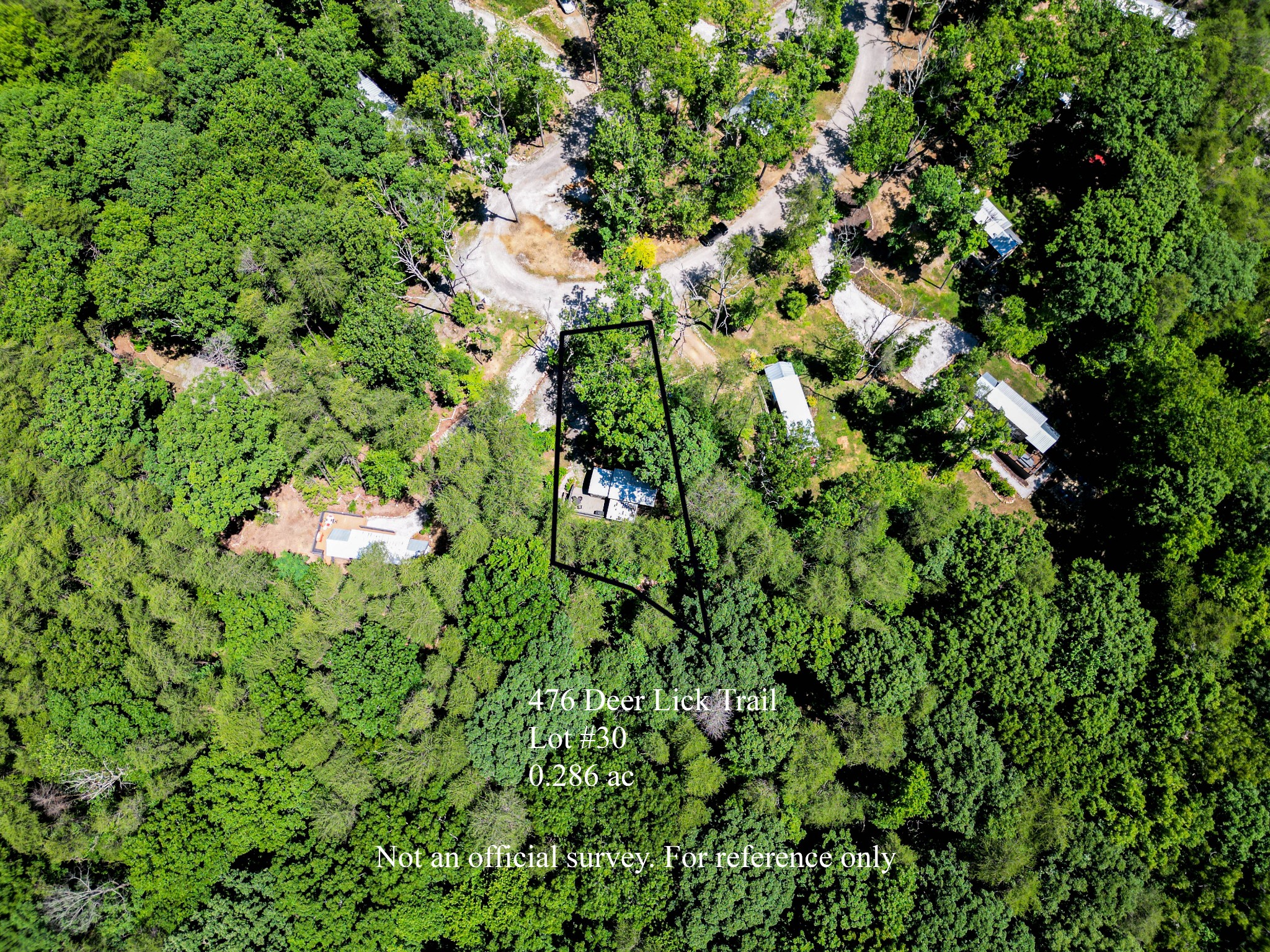 476 Deer Lick Trail