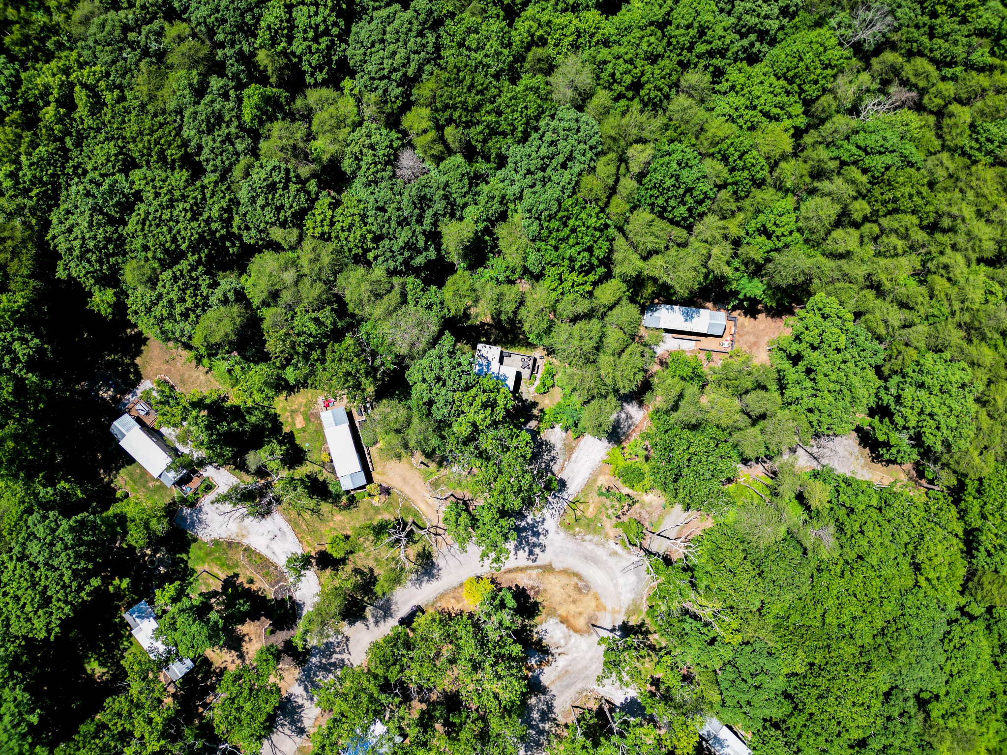 476 Deer Lick Trail