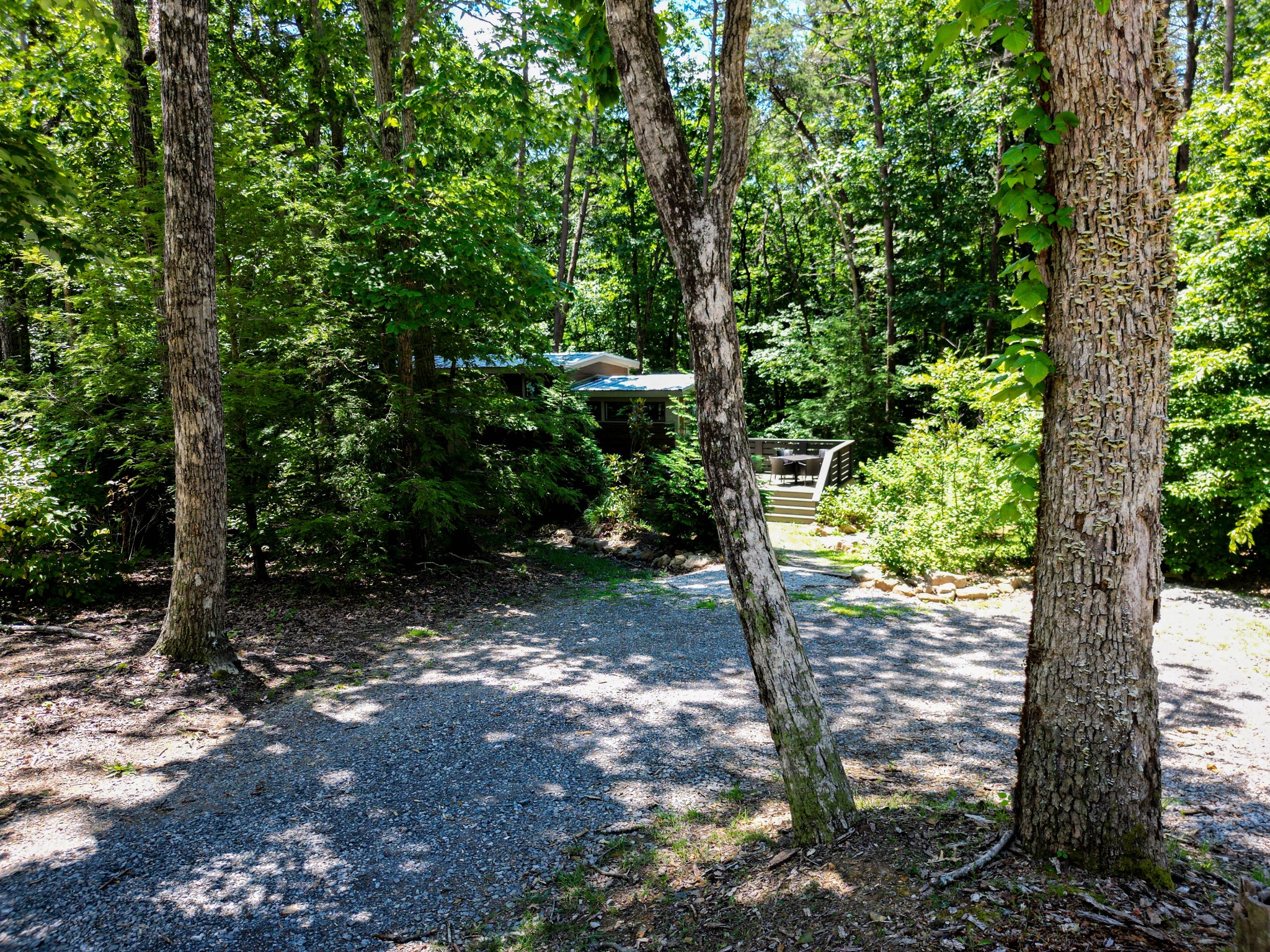 476 Deer Lick Trail