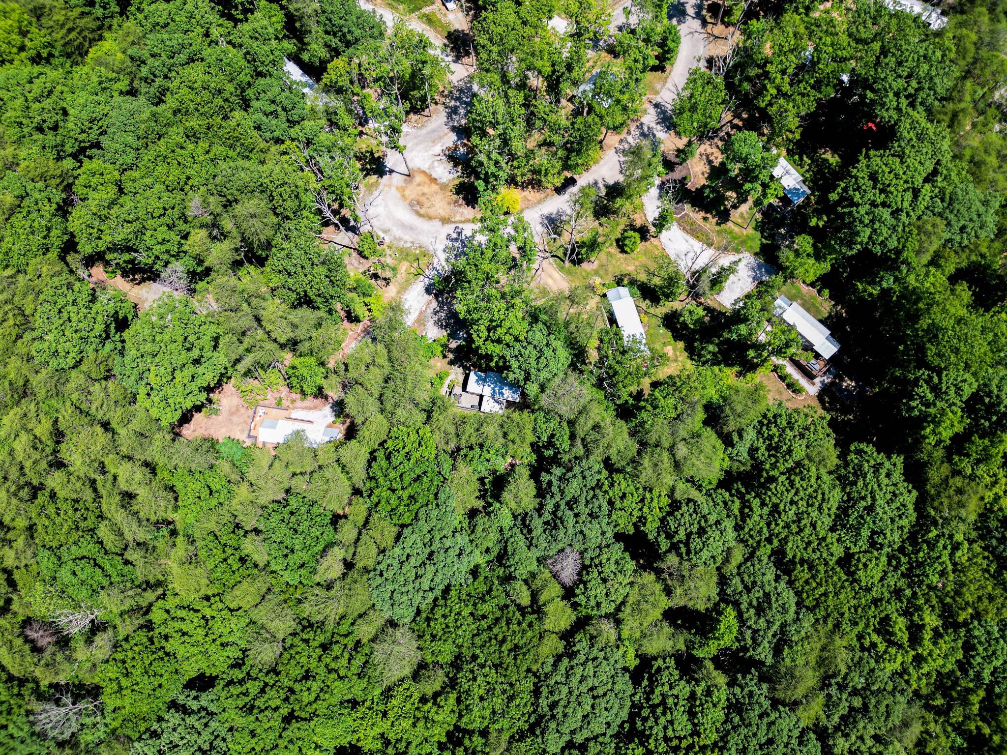 476 Deer Lick Trail