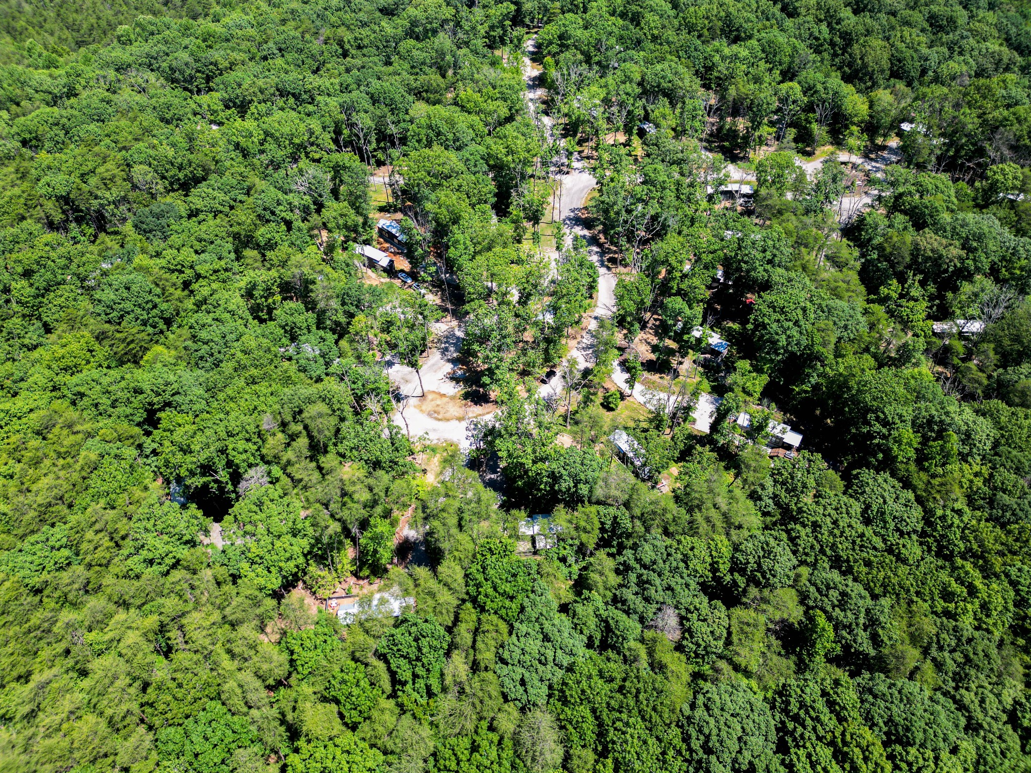 476 Deer Lick Trail
