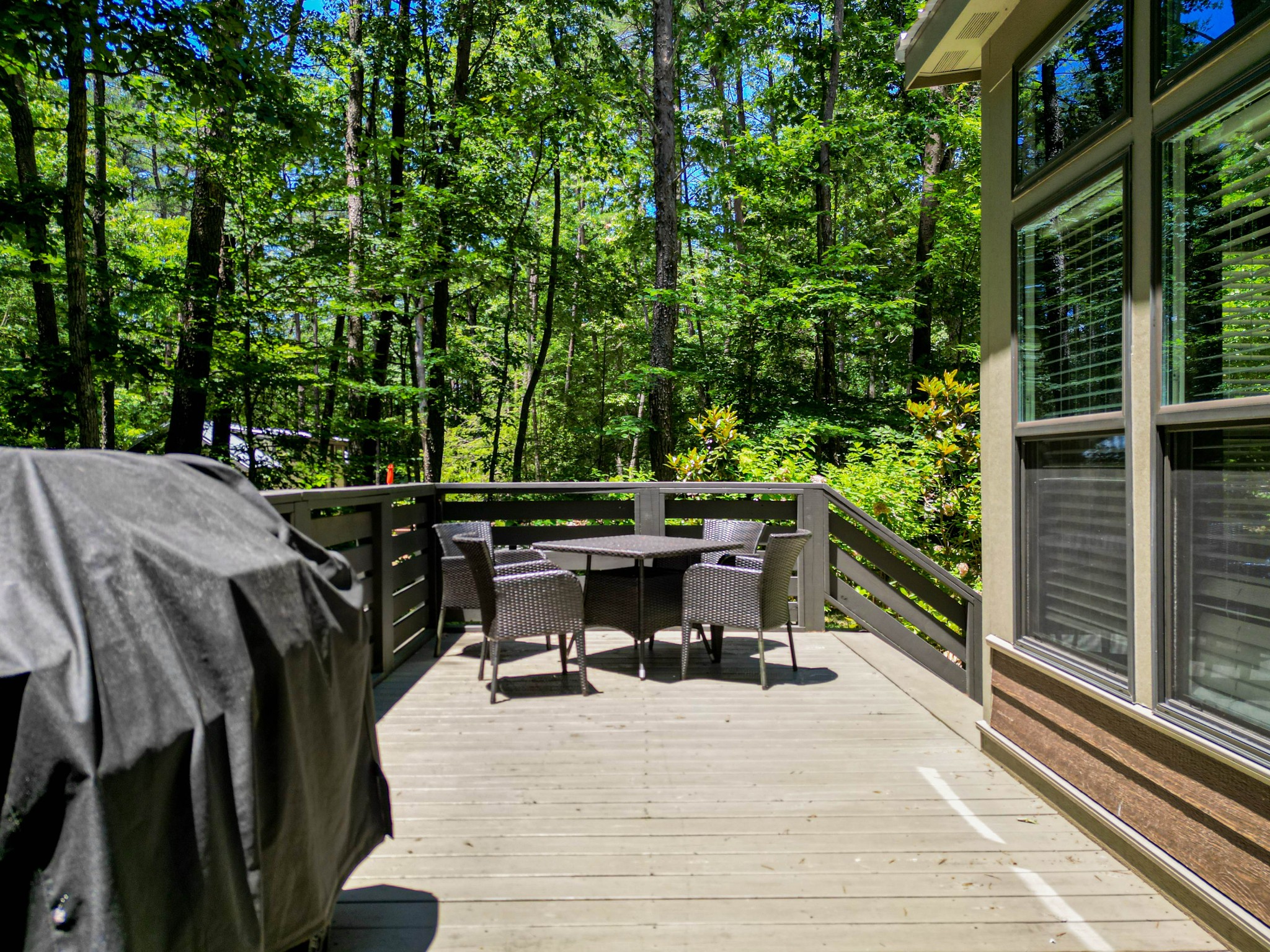 476 Deer Lick Trail