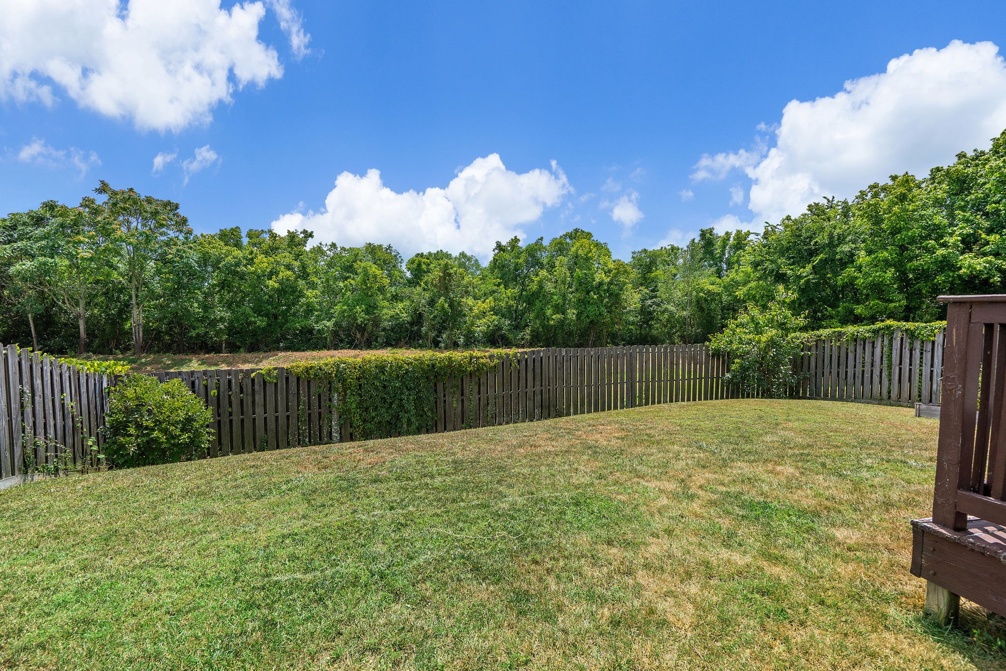 3753 Springwater Dr
