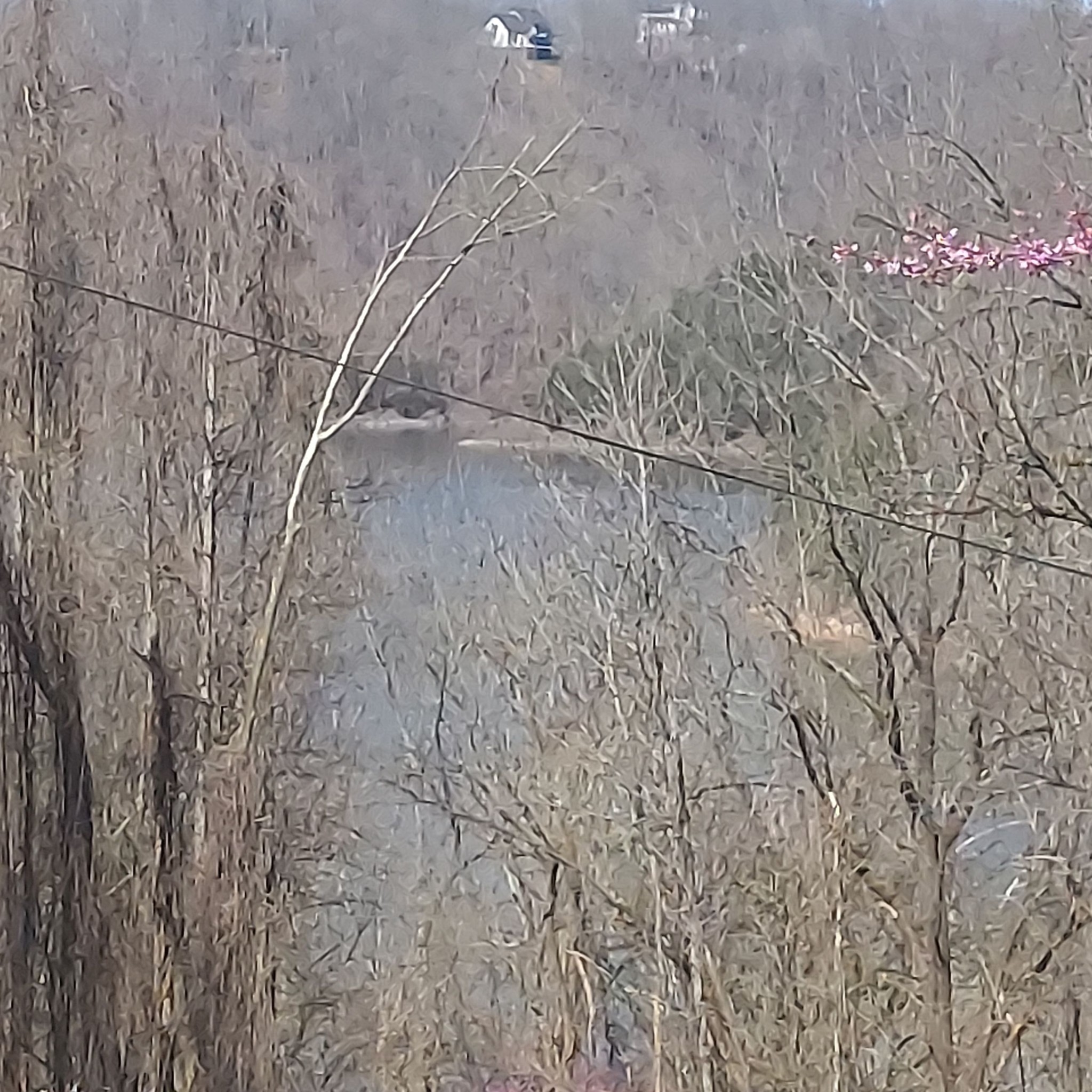 2790 Johnson Chapel Rd