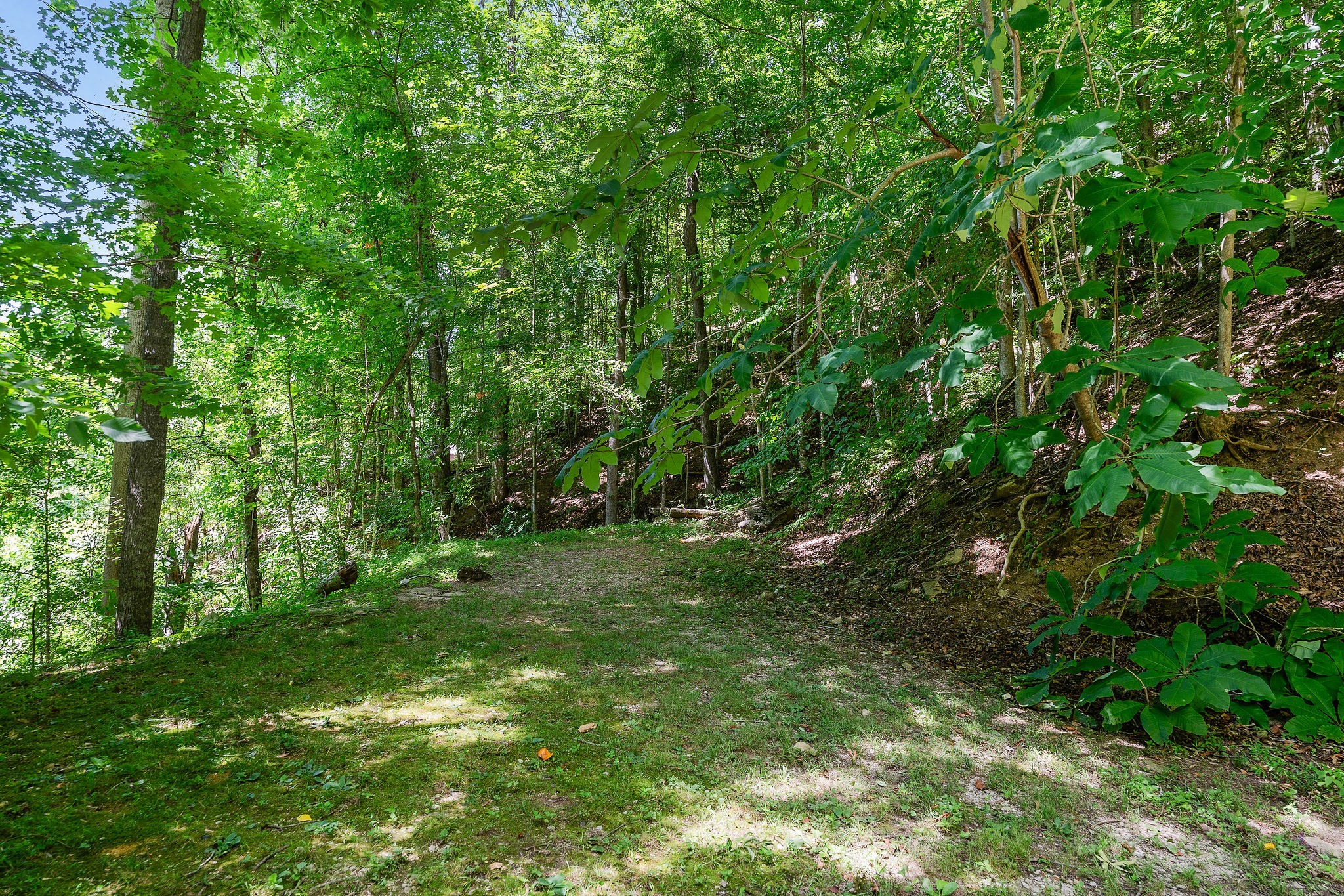 2790 Johnson Chapel Rd