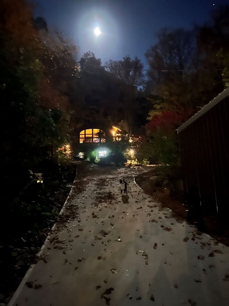 2790 Johnson Chapel Rd