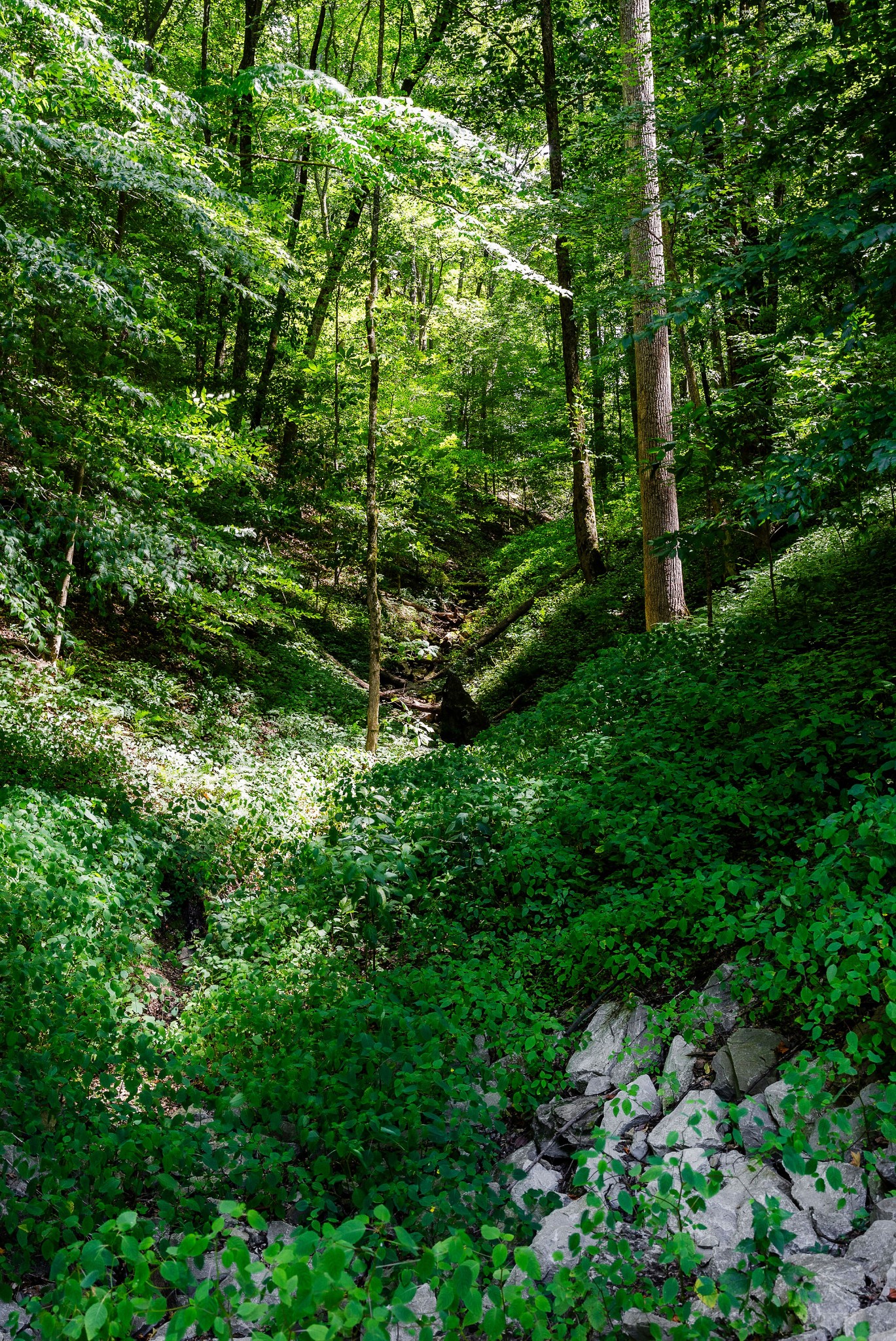 2790 Johnson Chapel Rd