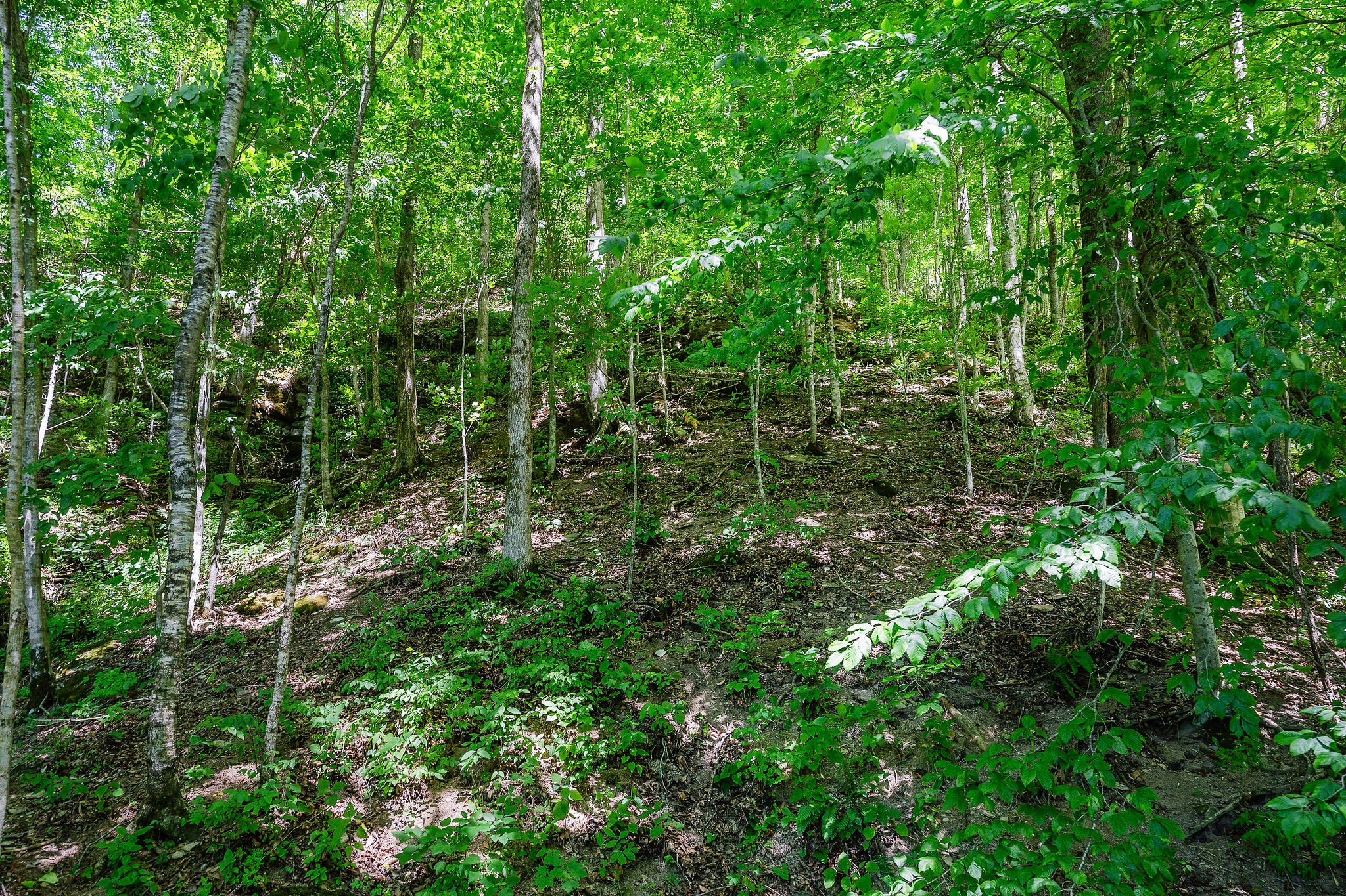 2790 Johnson Chapel Rd