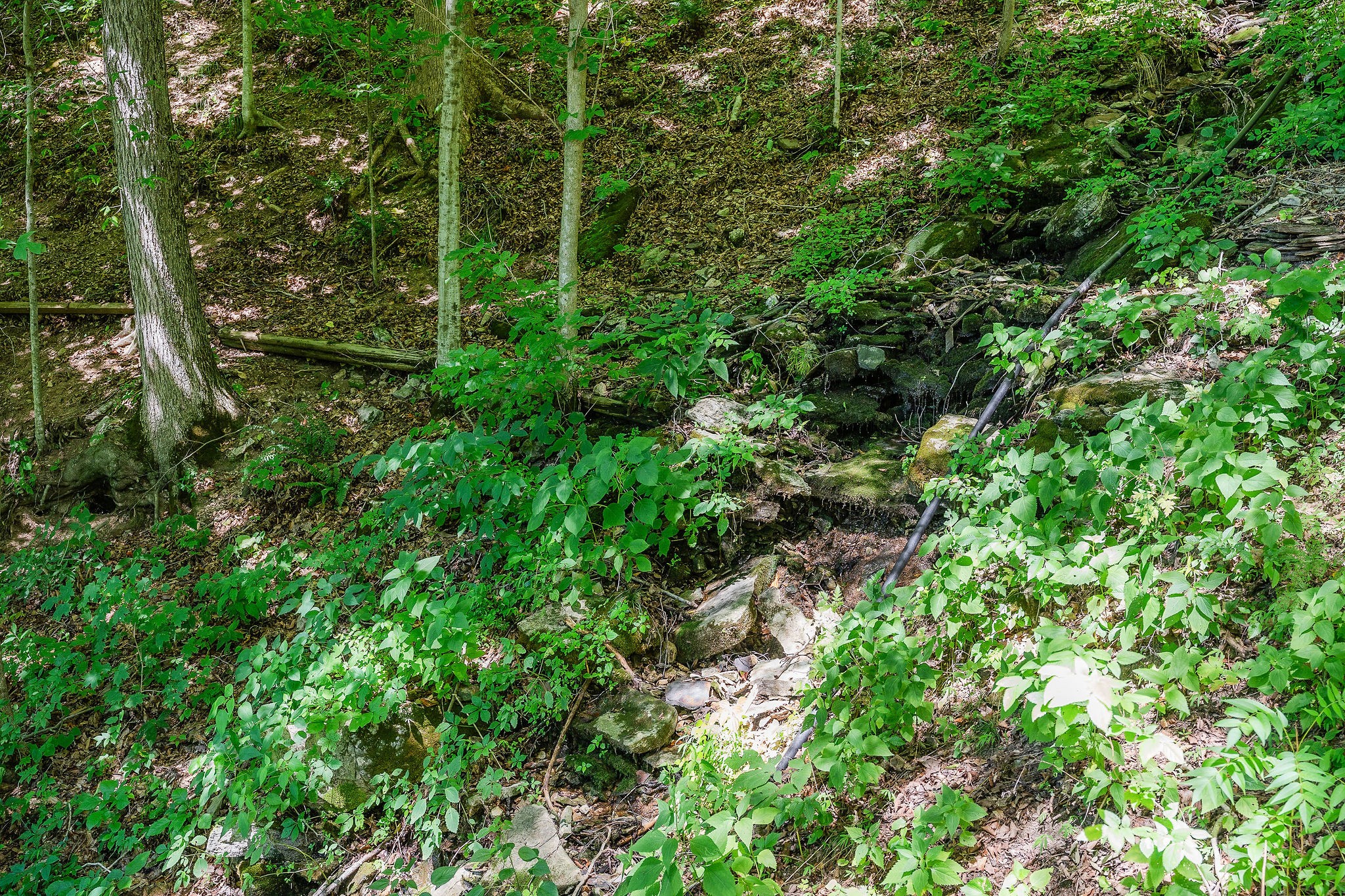 2790 Johnson Chapel Rd