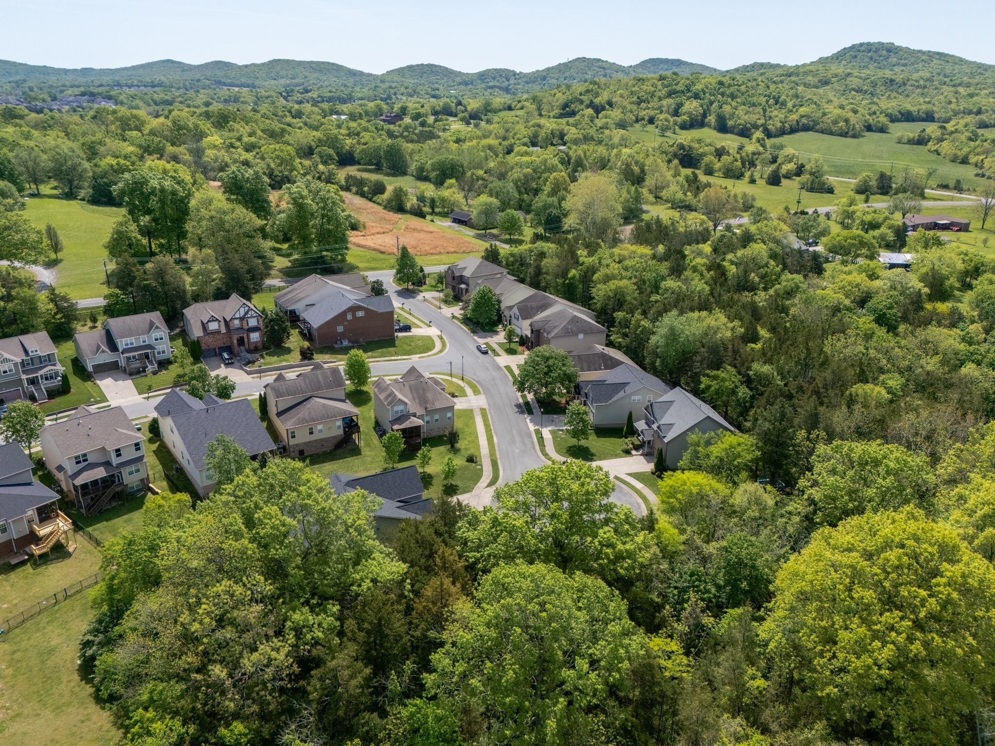 521 Dante Ranch Ln