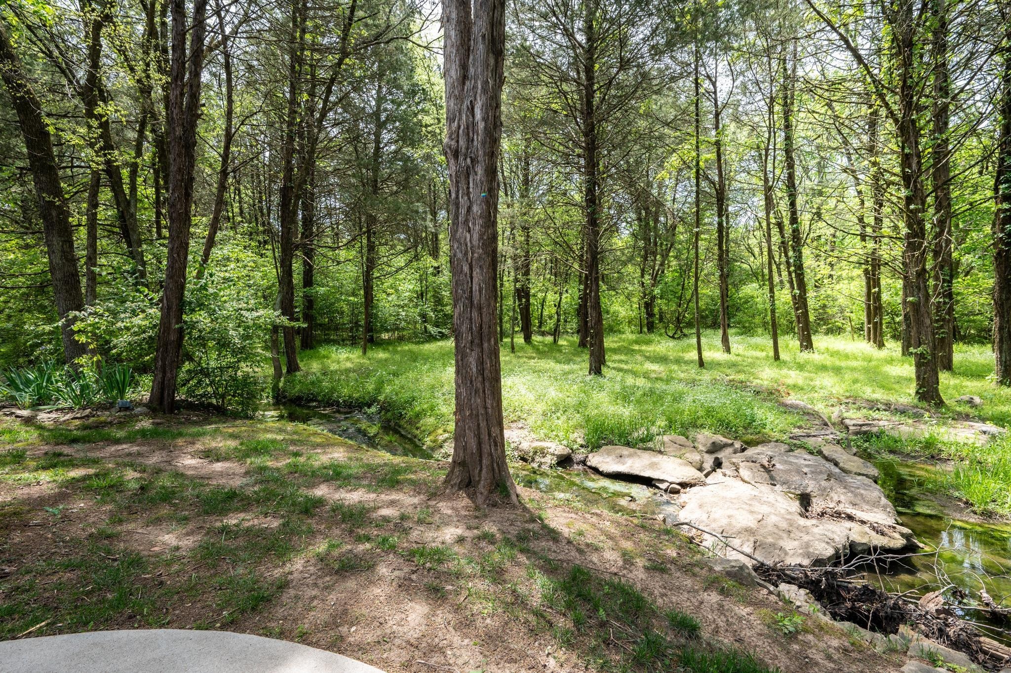 521 Dante Ranch Ln