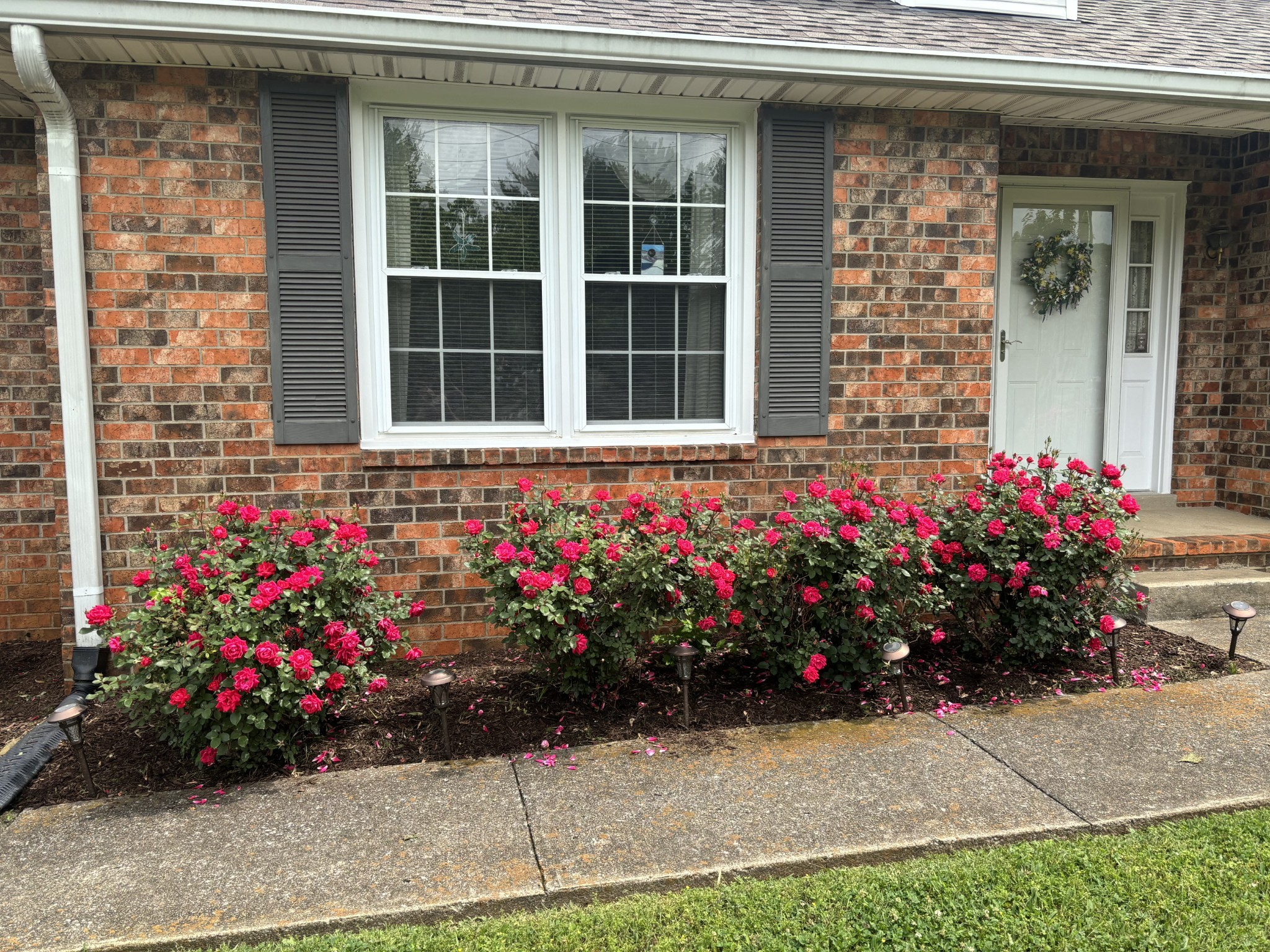 315 Shadowbrook Dr