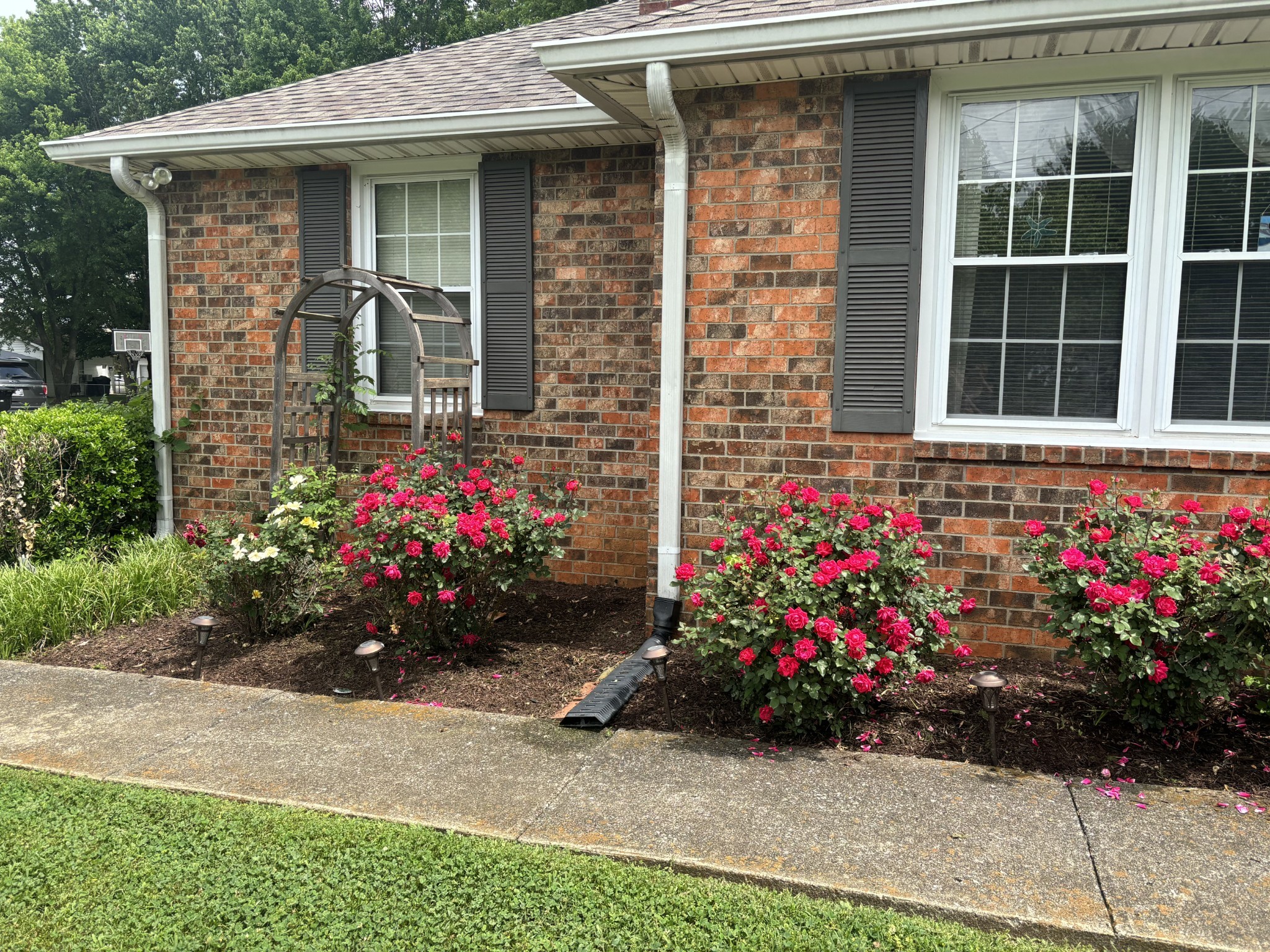 315 Shadowbrook Dr