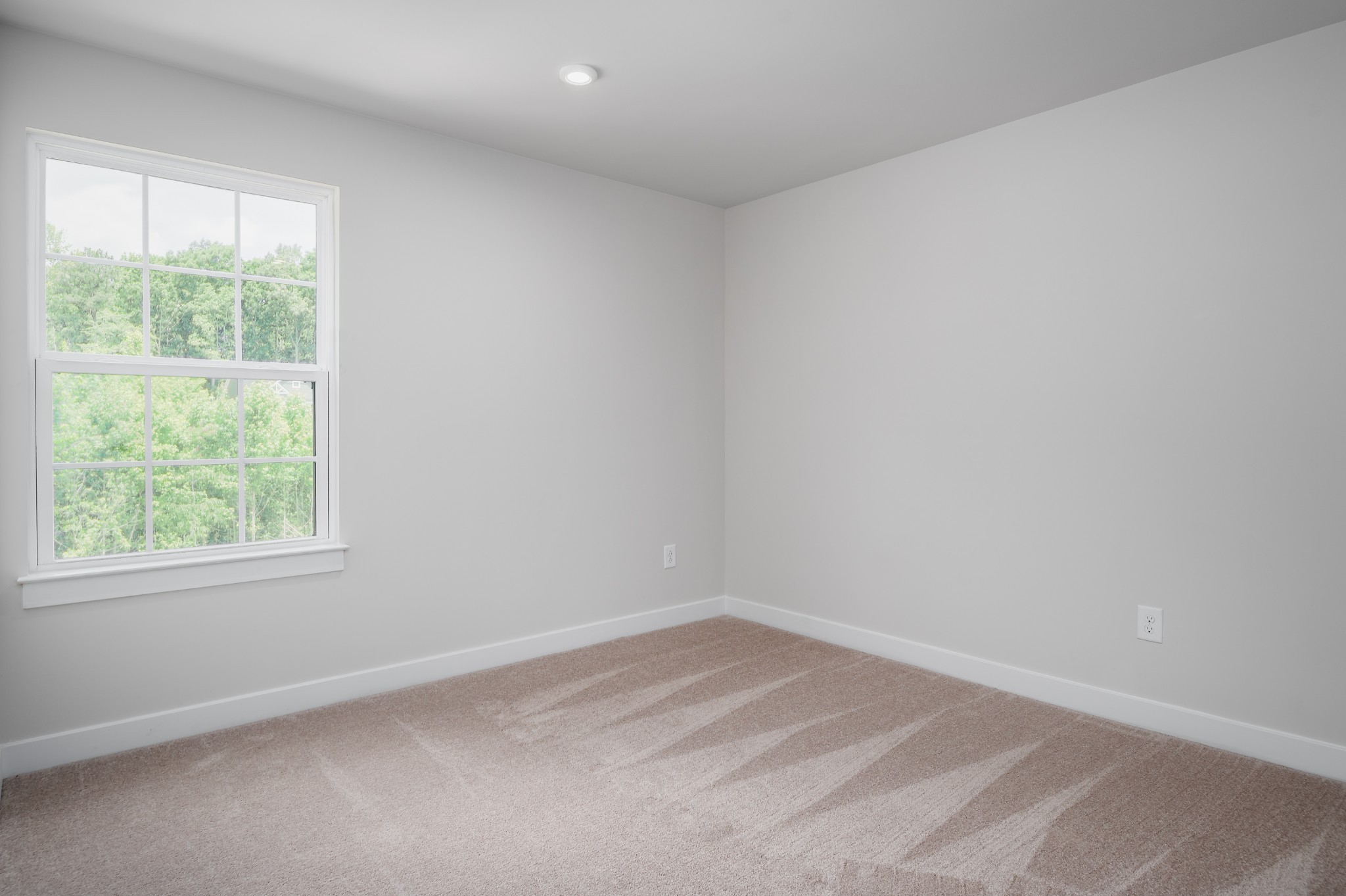 4421 Fairlight Lane