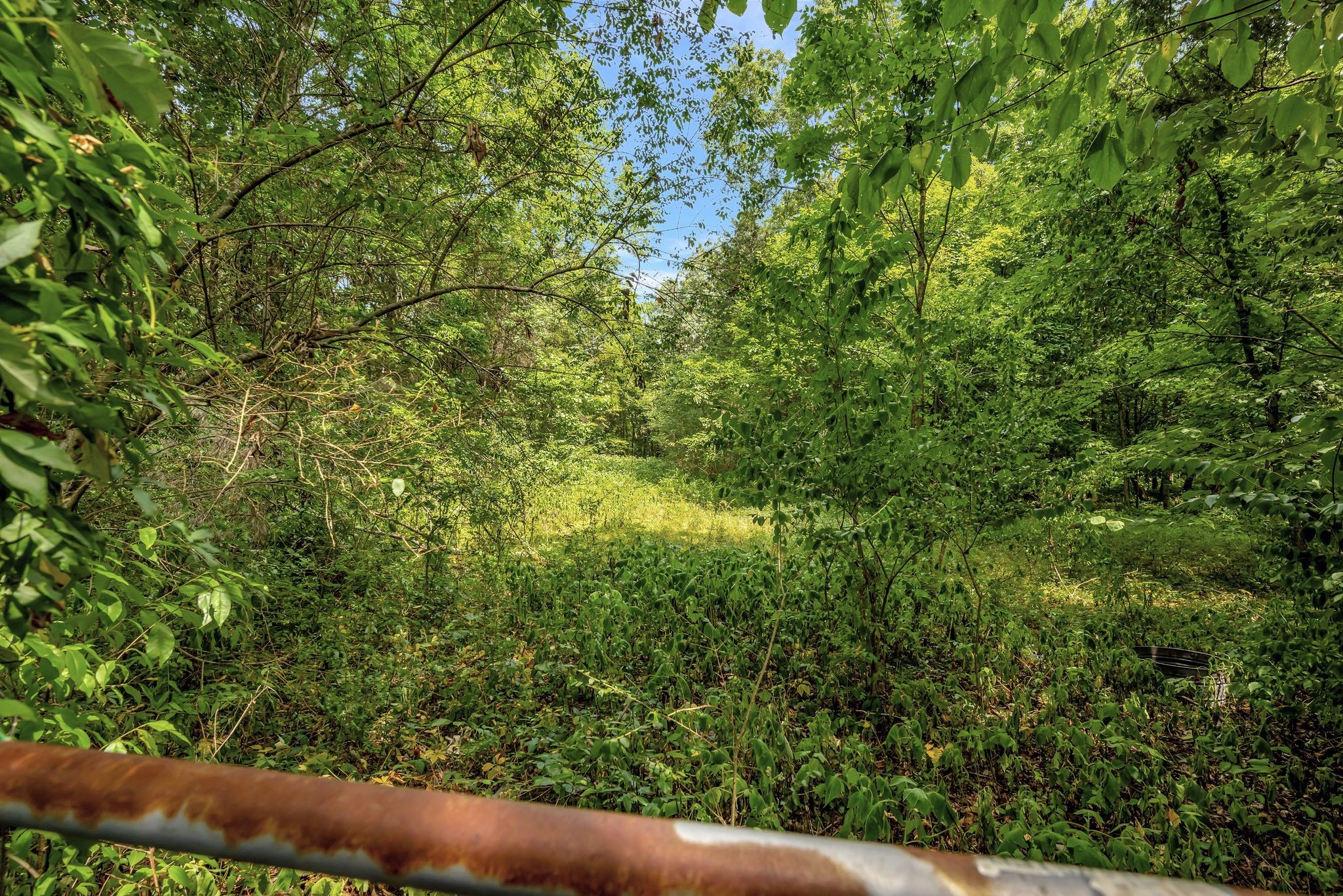 104 Foxland Dr