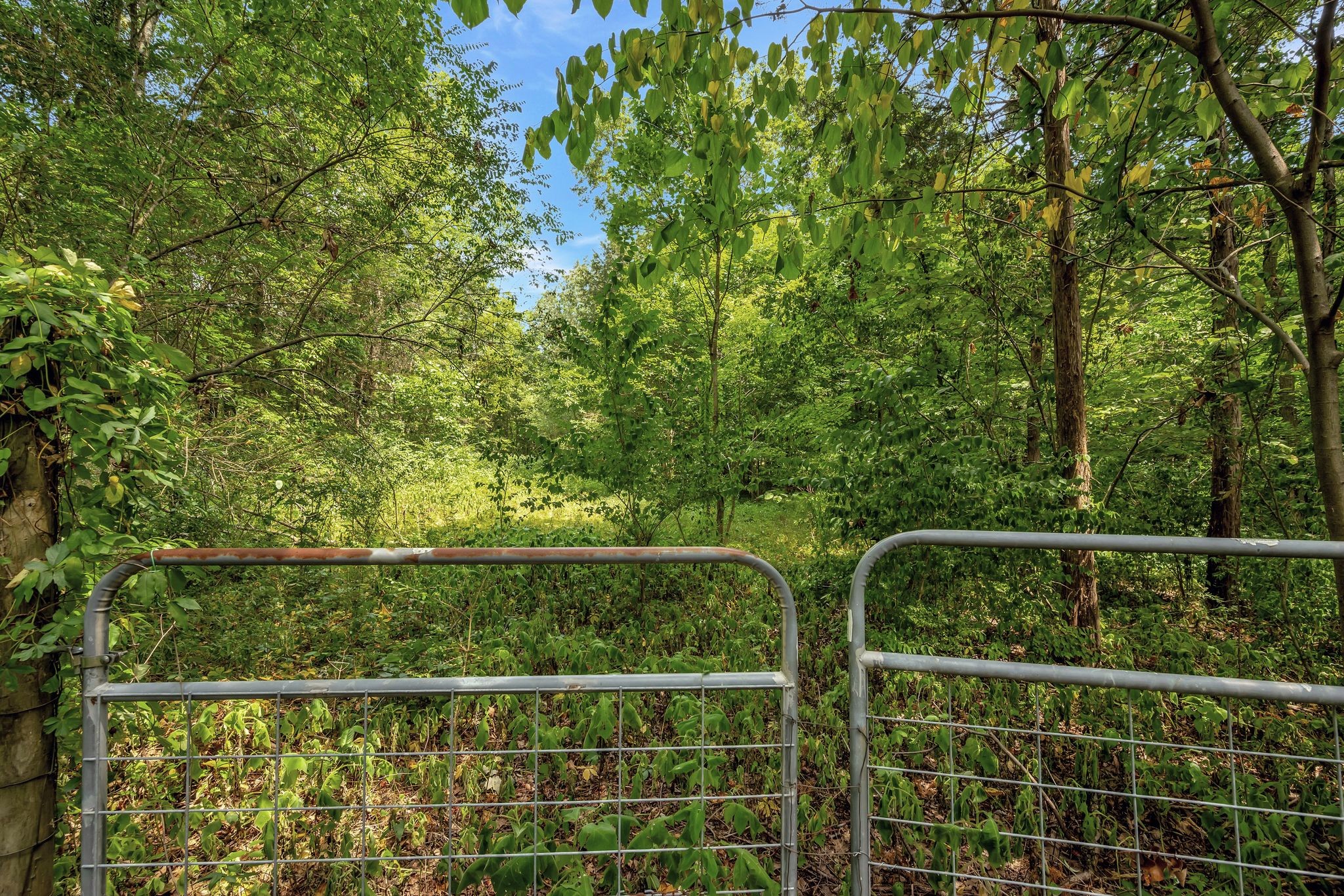 104 Foxland Dr