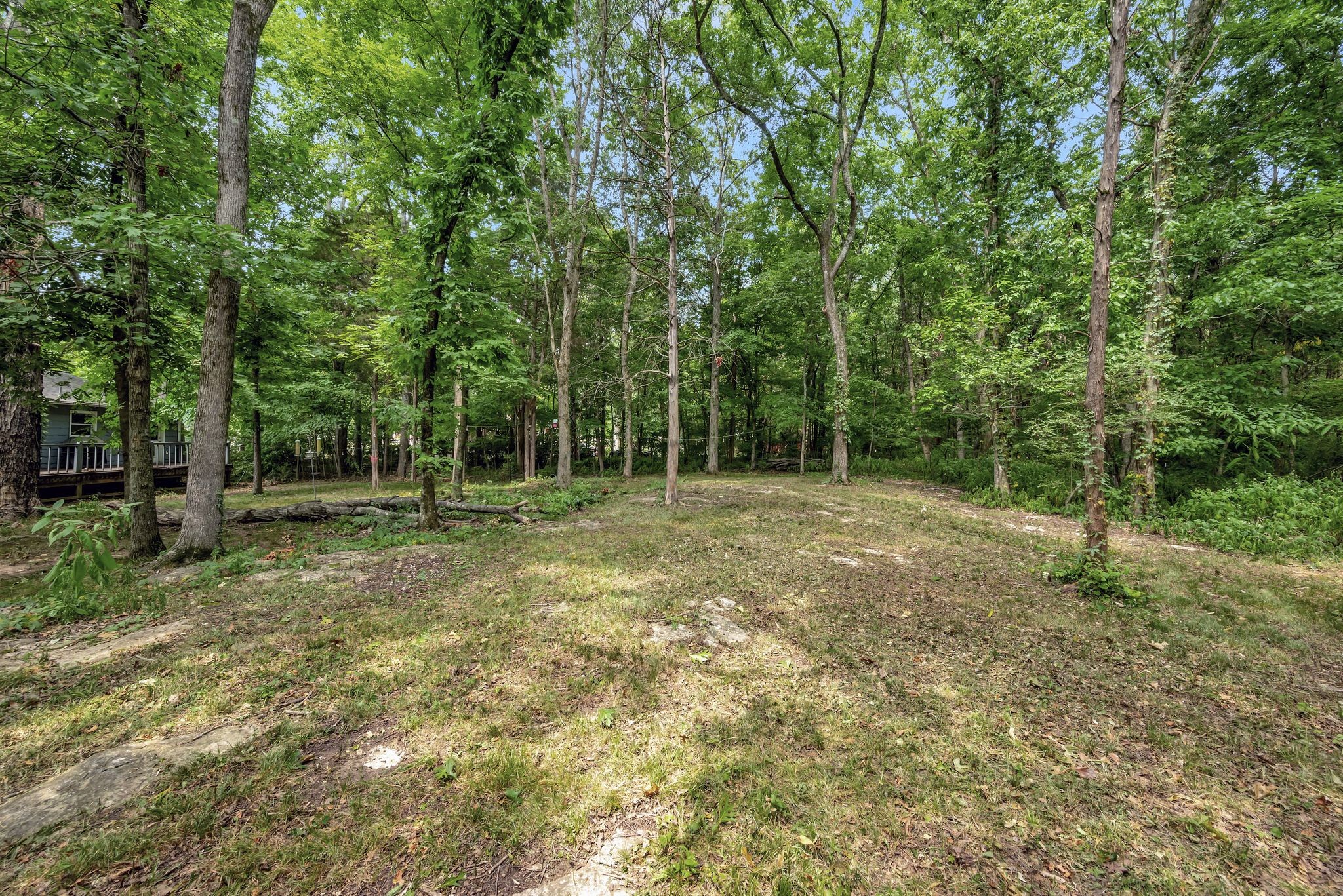 104 Foxland Dr
