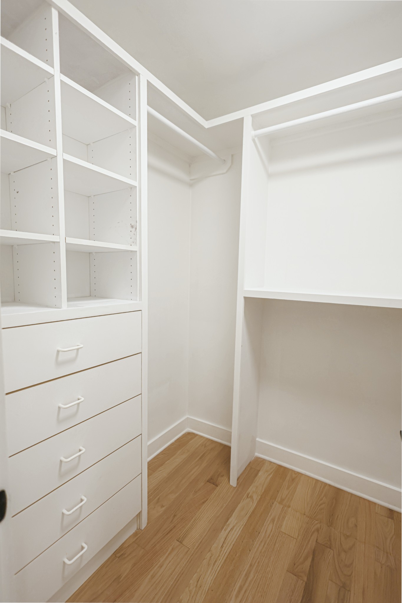 105 Fox Hill Ct