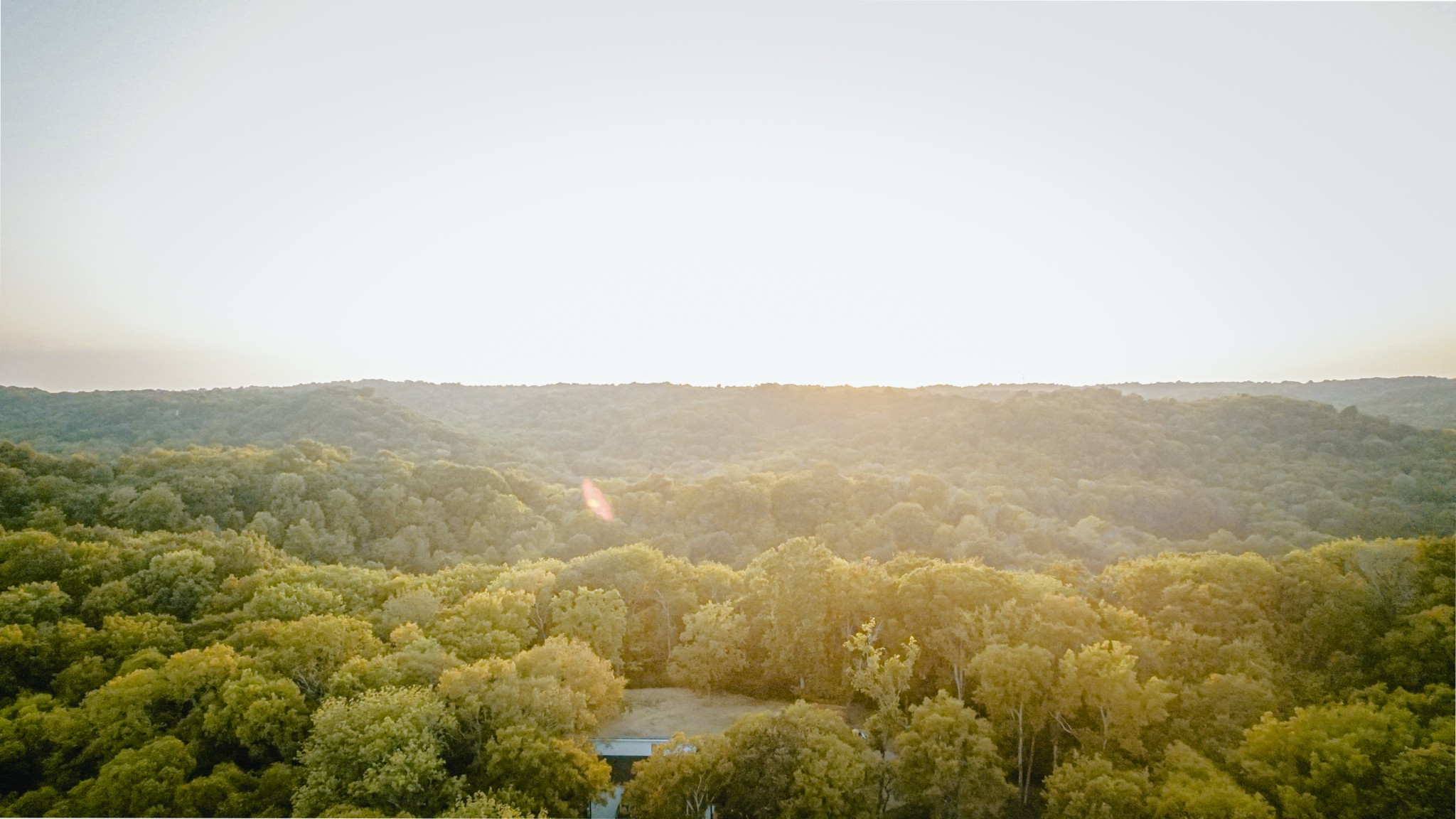 105 Fox Hill Ct