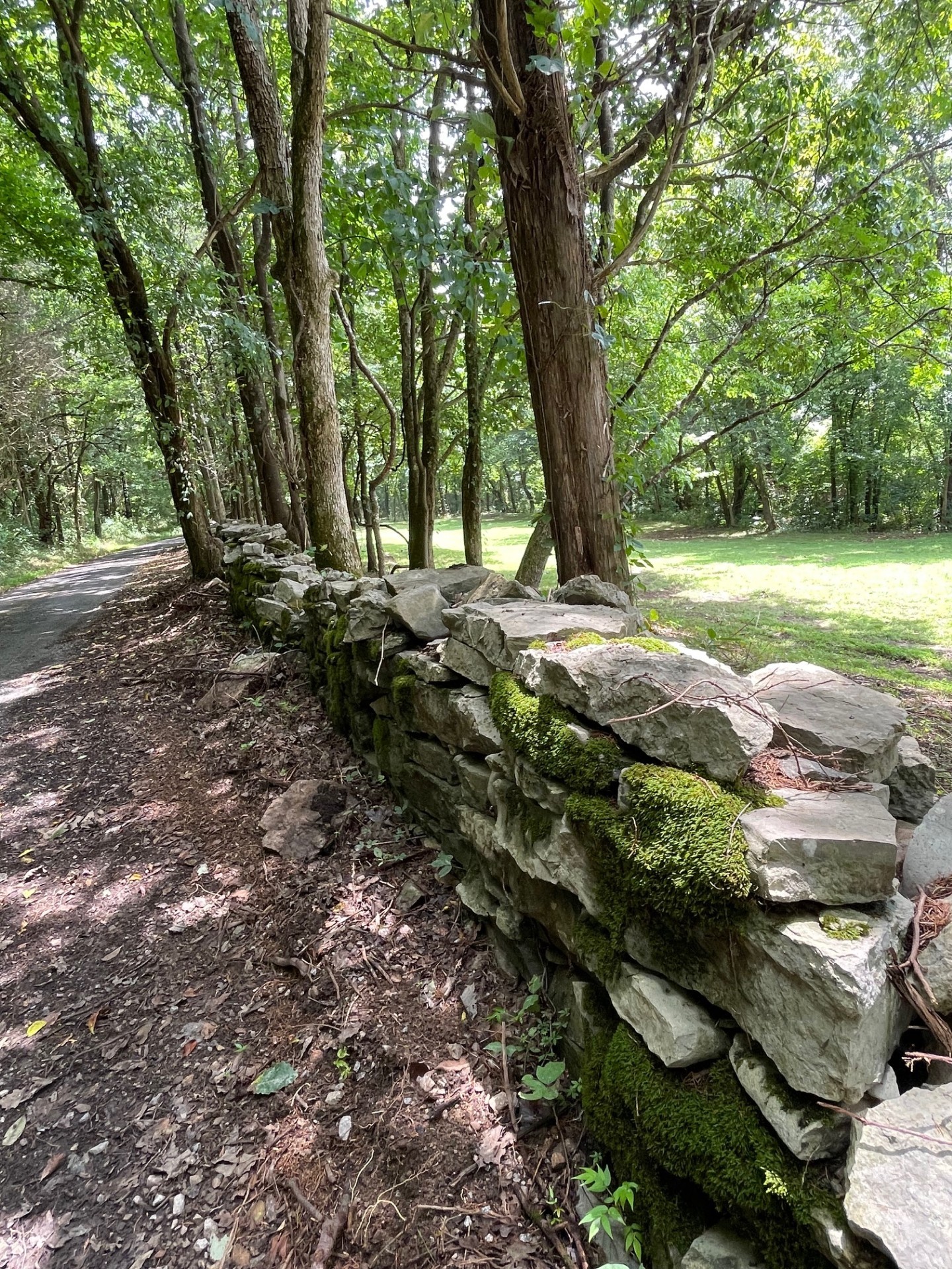 428 Hayes Ridge Rd