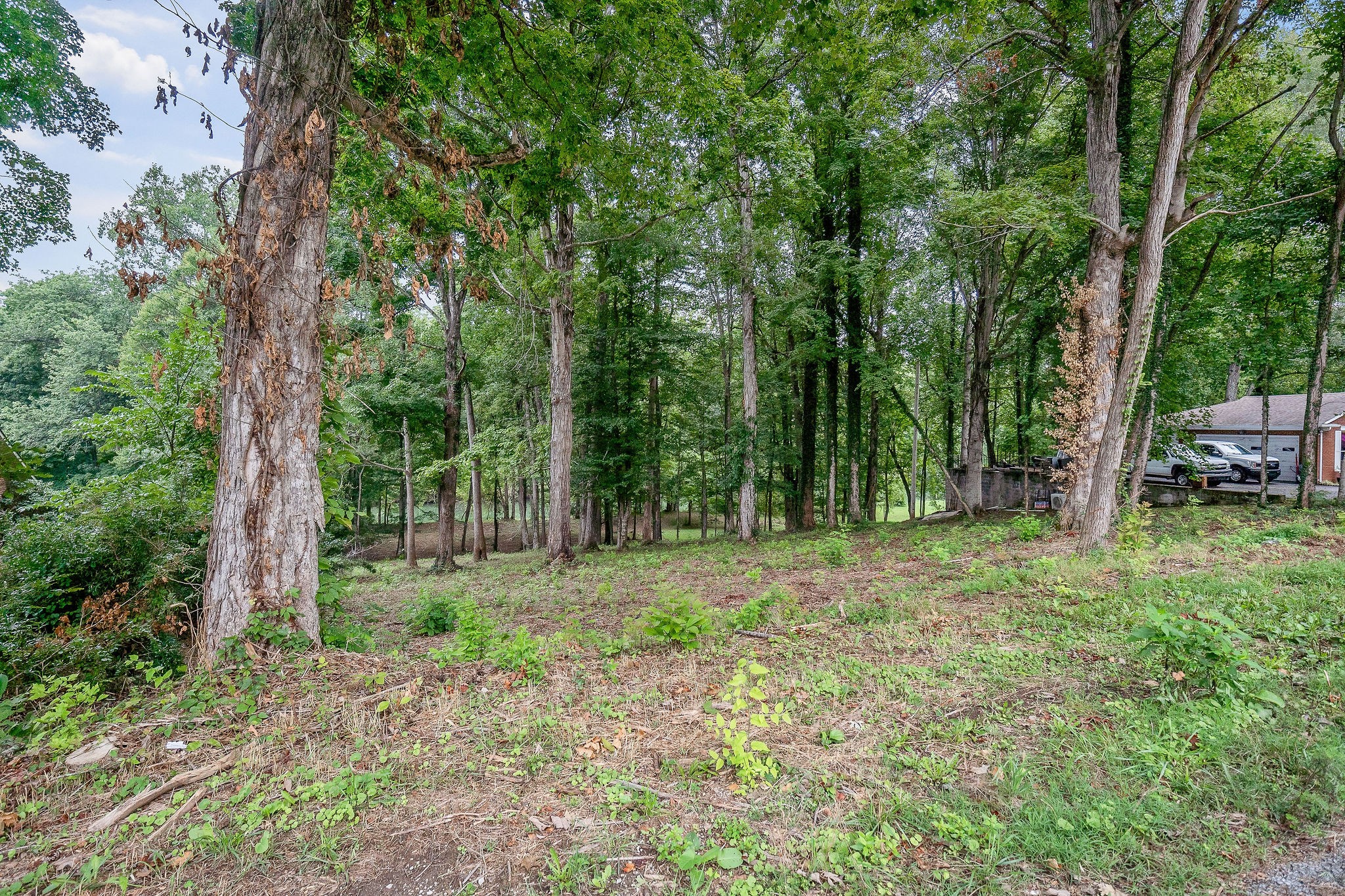 0 Indian Mound Drive