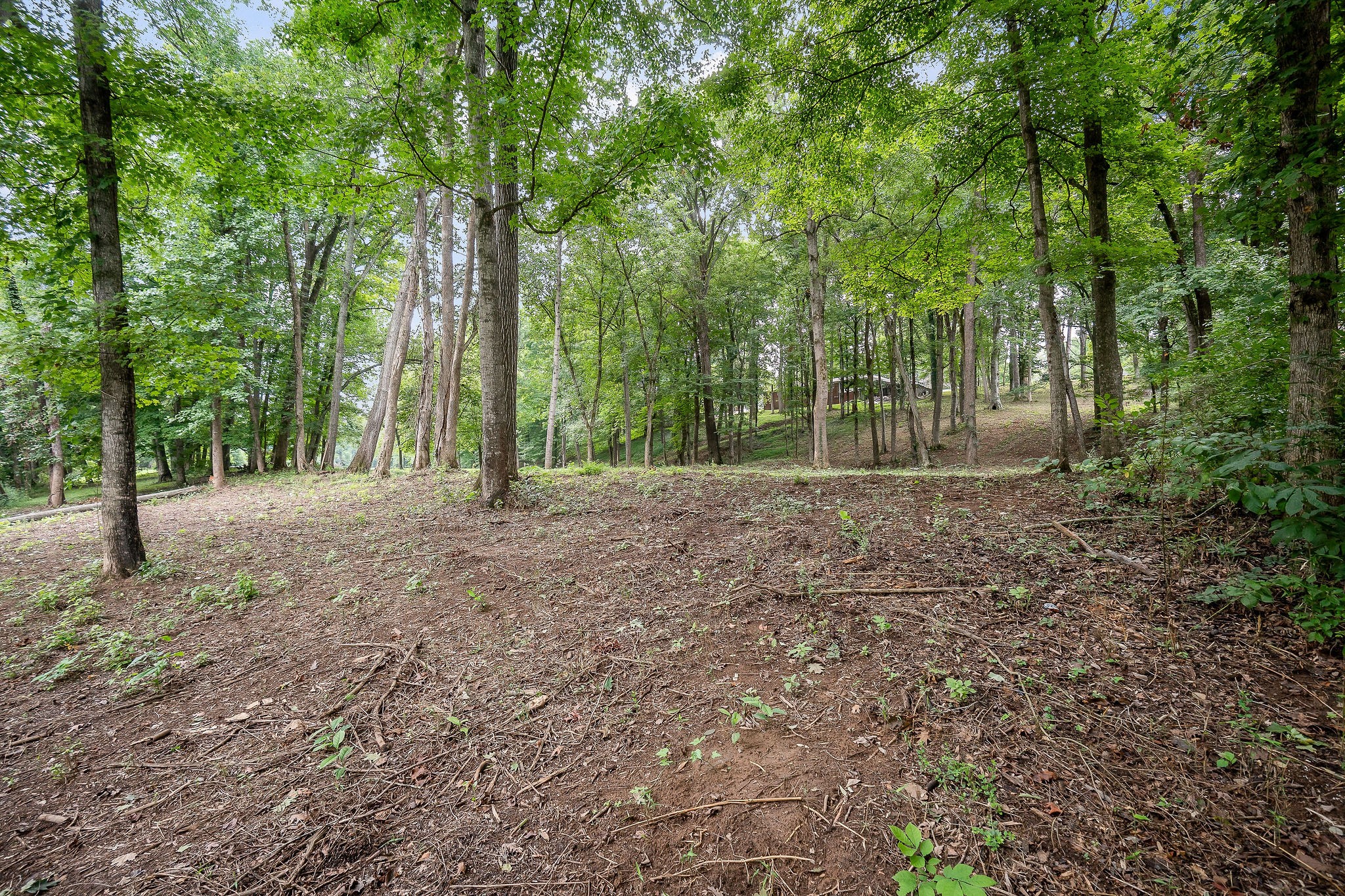 0 Indian Mound Drive