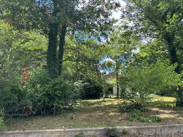 313 Spring St