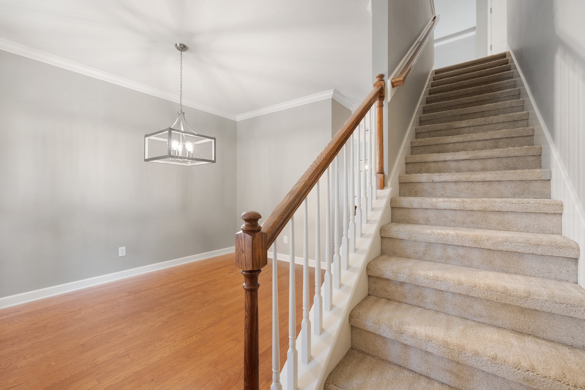 561 Griffin Cir