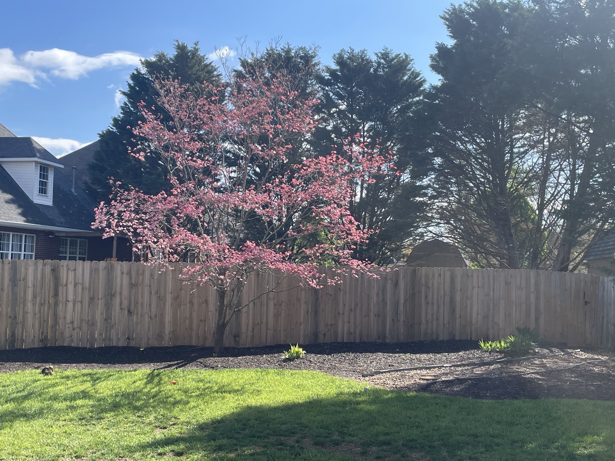 1807 Joben Dr