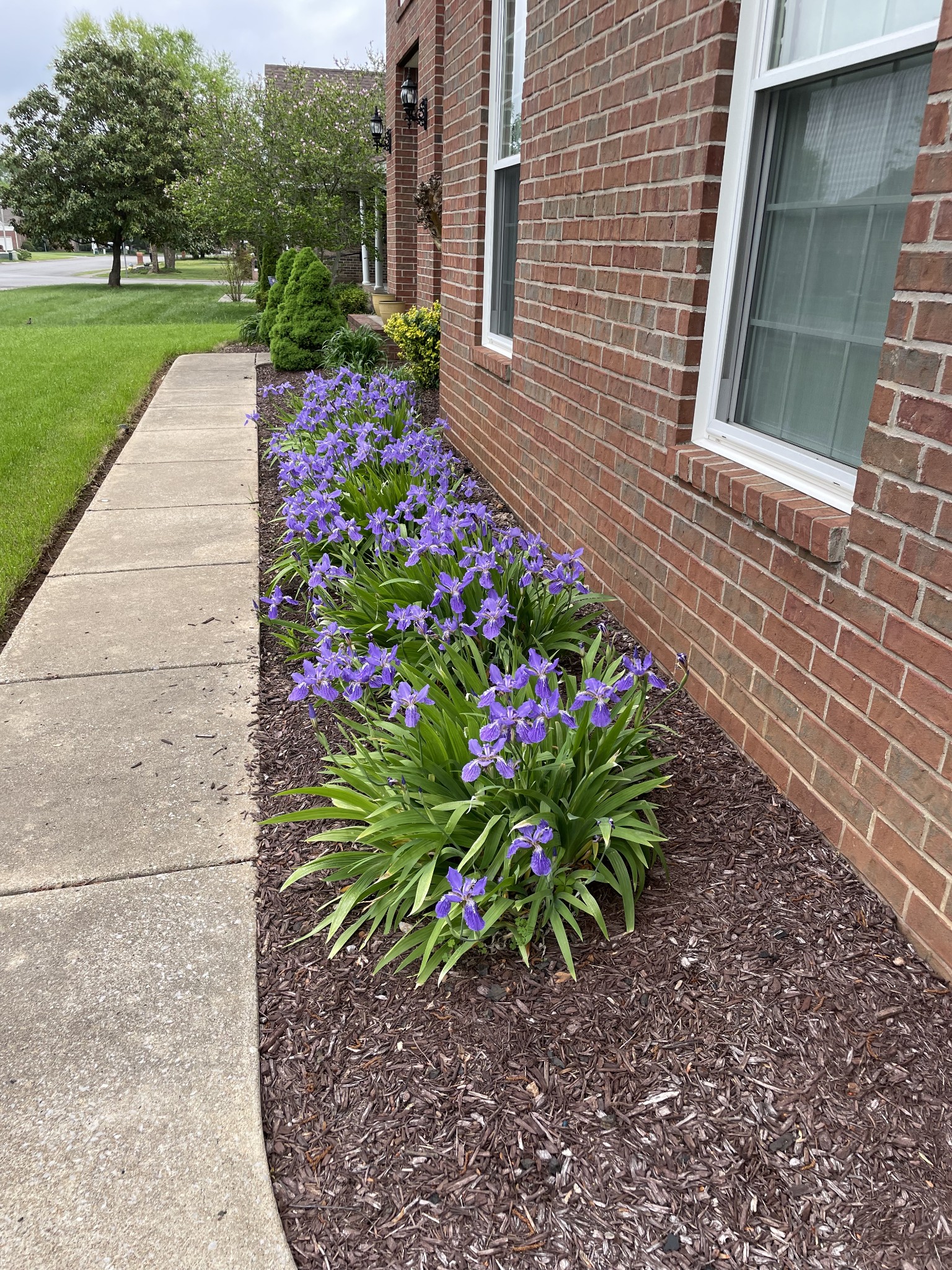 1807 Joben Dr