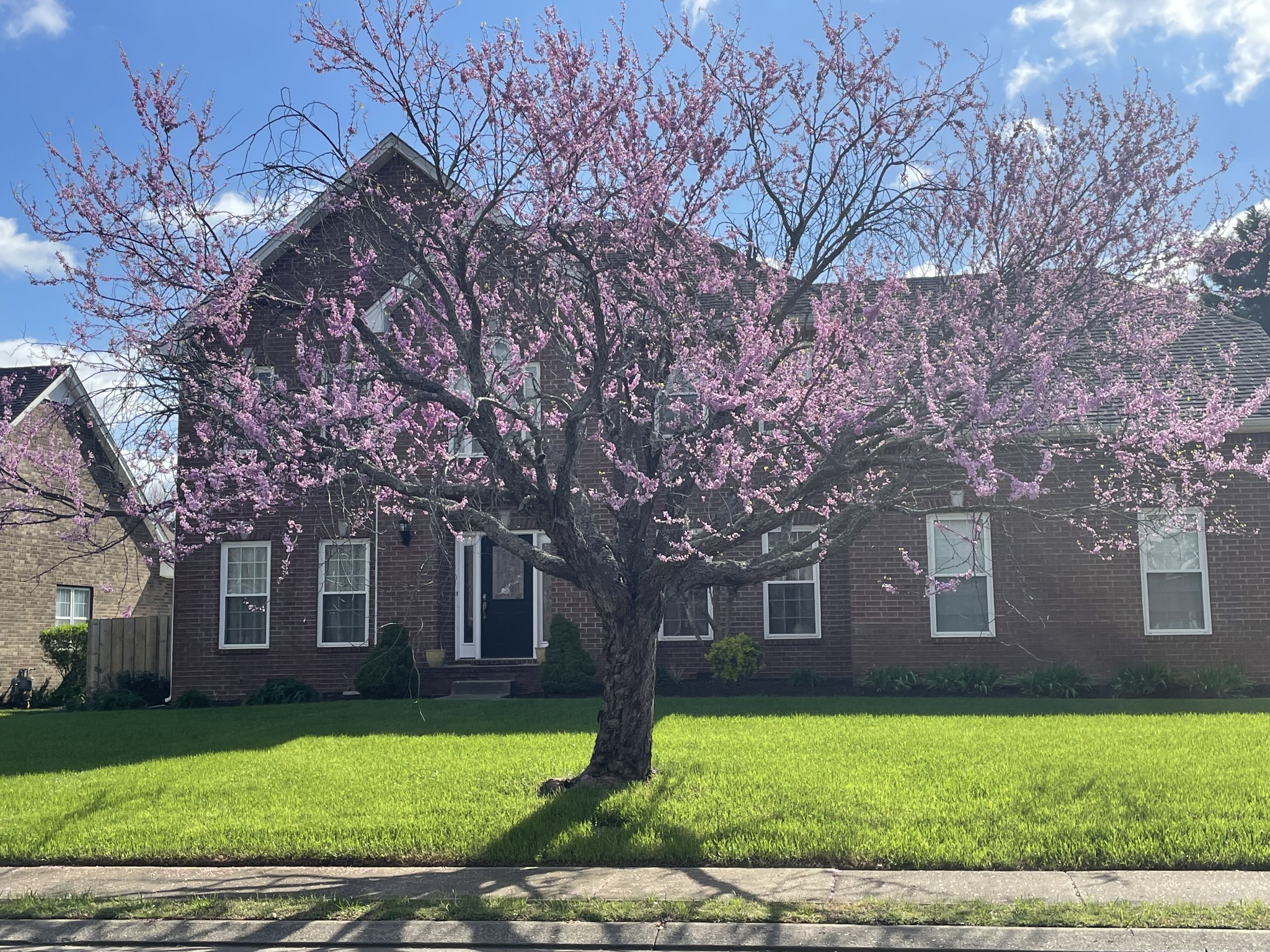 1807 Joben Dr