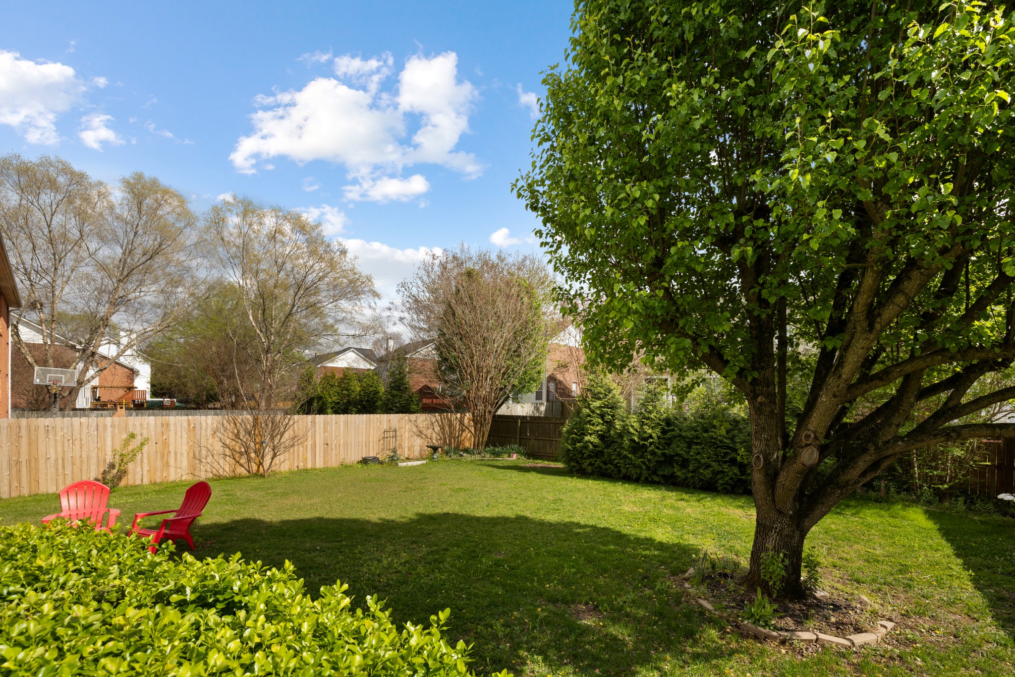 203 Camellia Ct