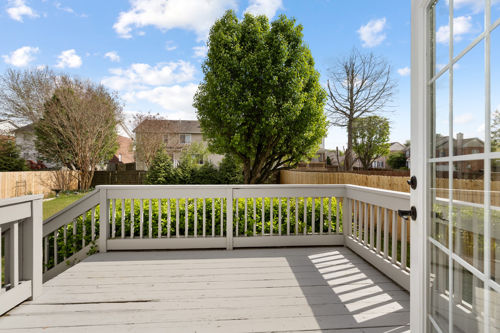 203 Camellia Ct