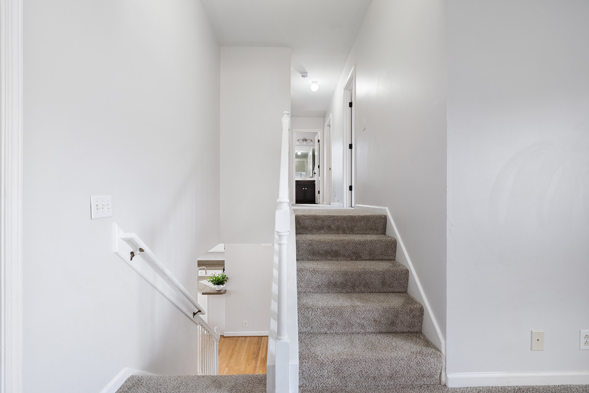 203 Camellia Ct