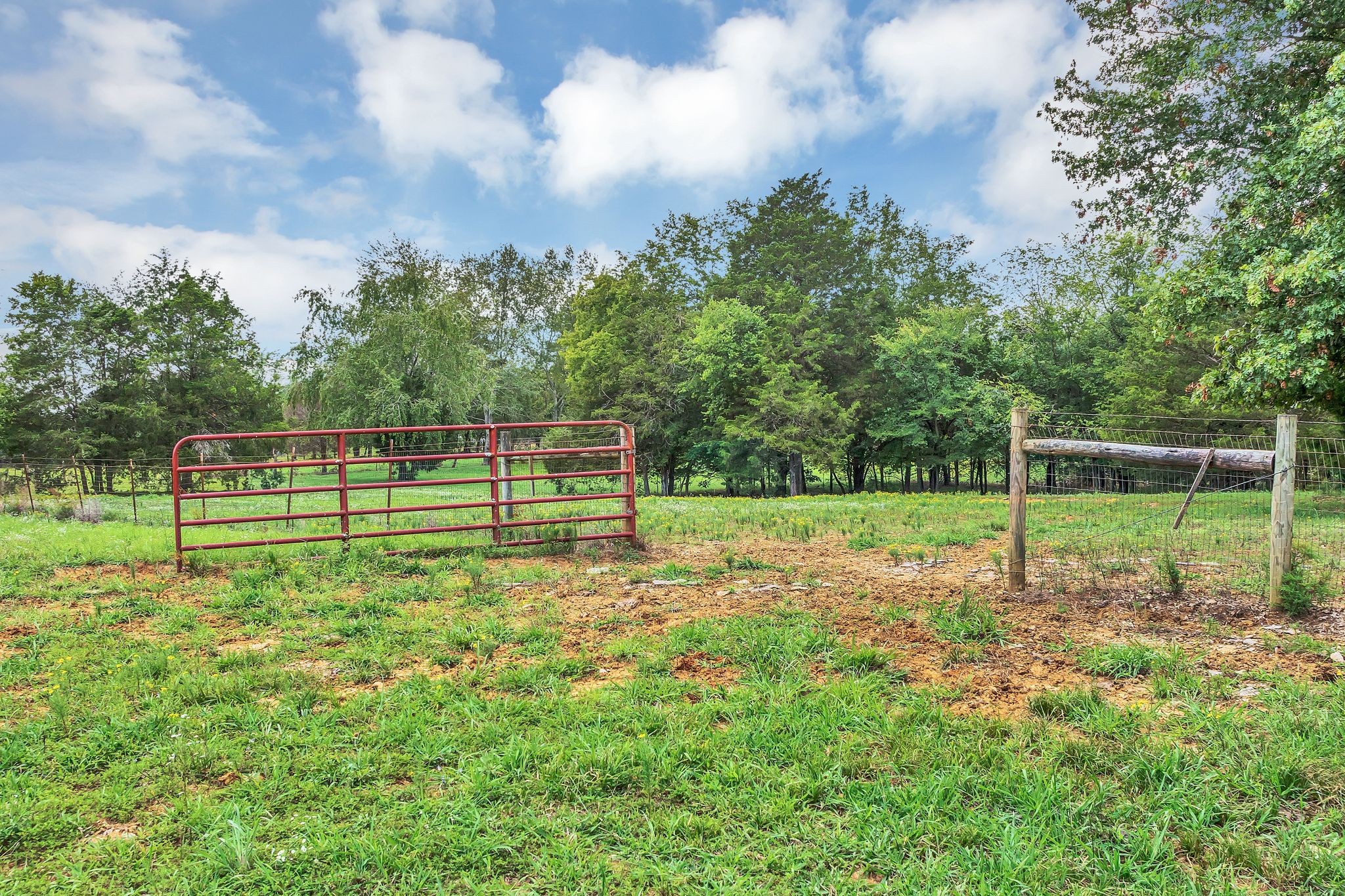 7031 Rhodes Lane